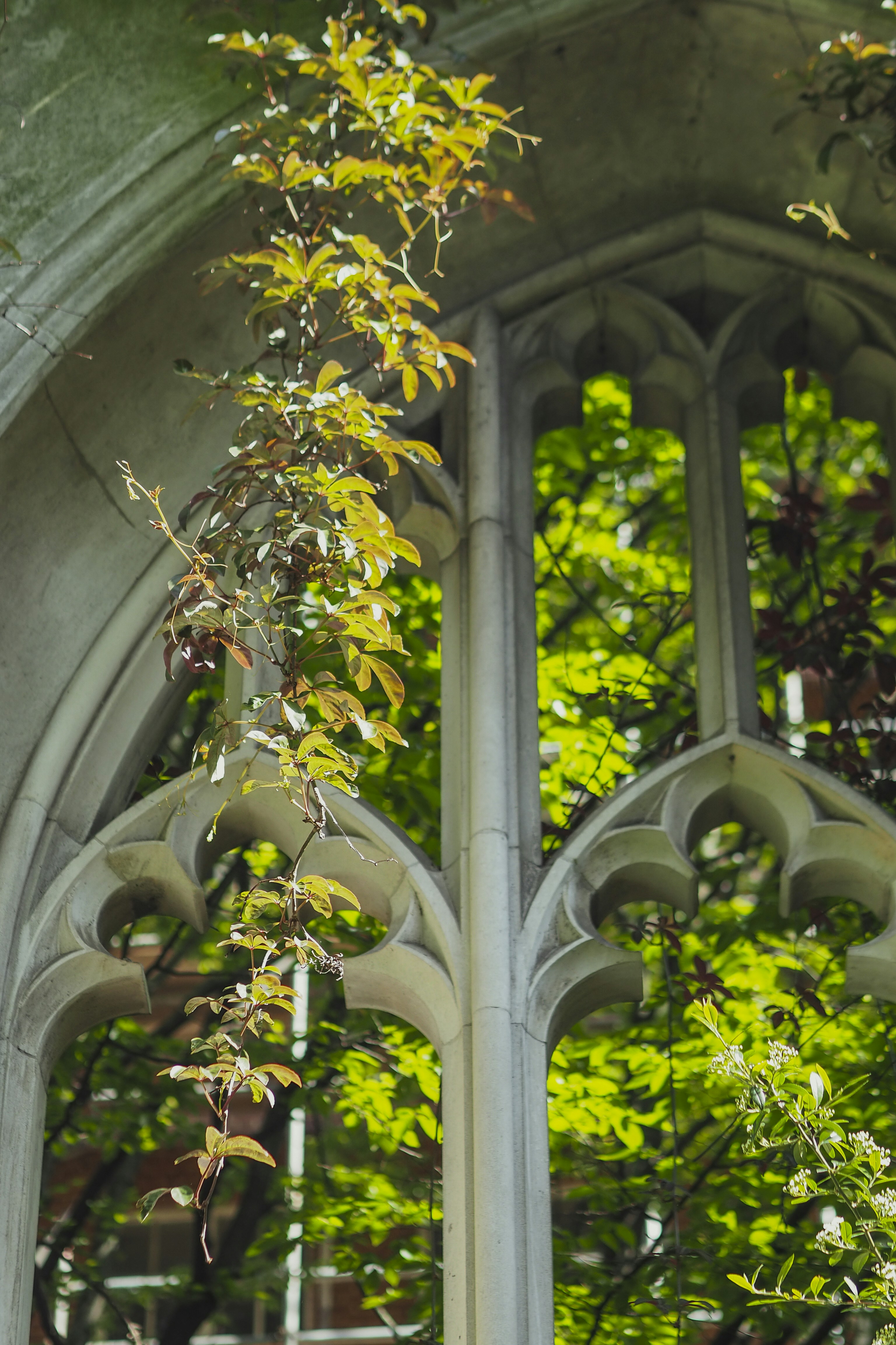 Photo by laurachouette