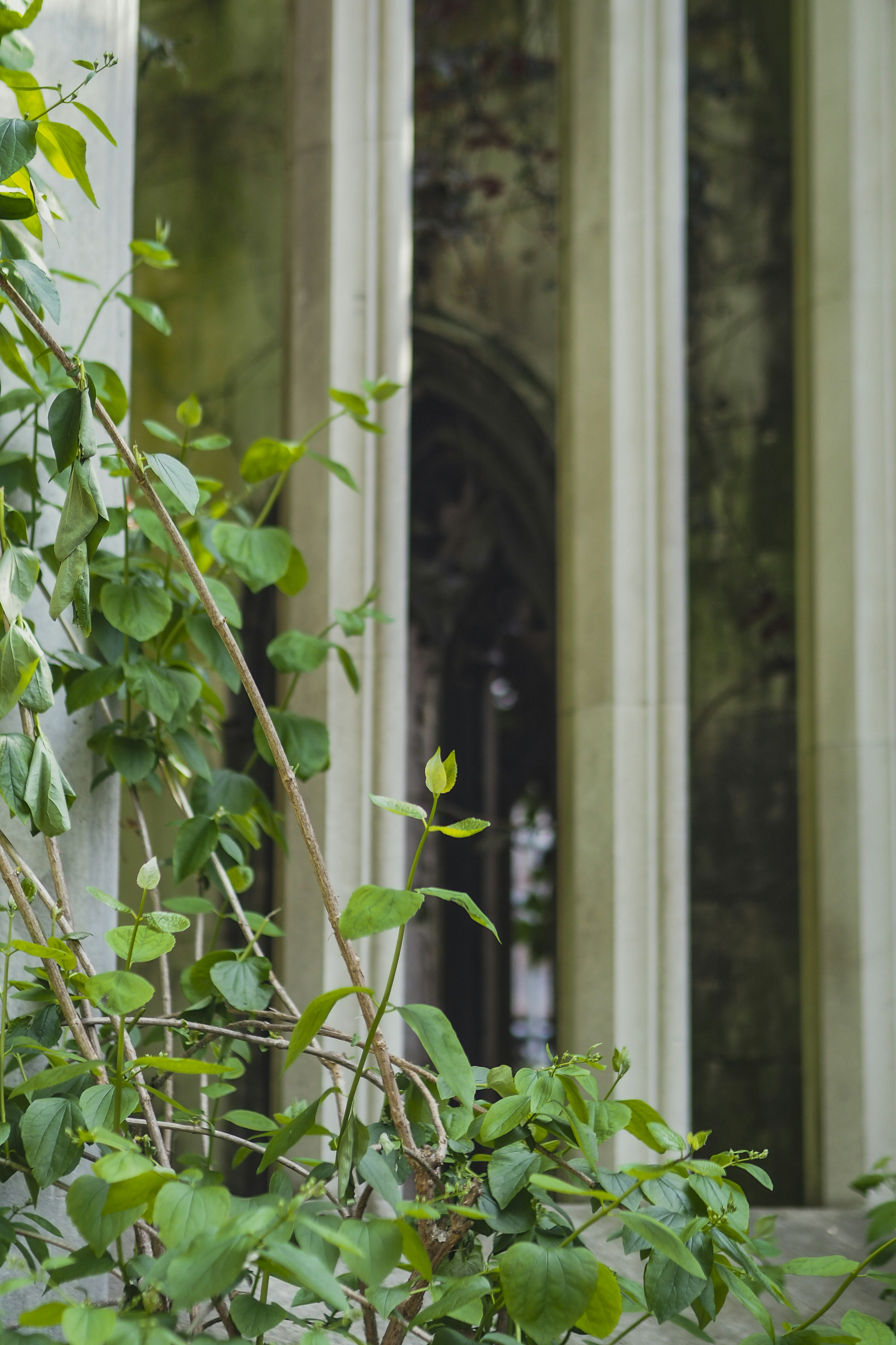 Photo by laurachouette