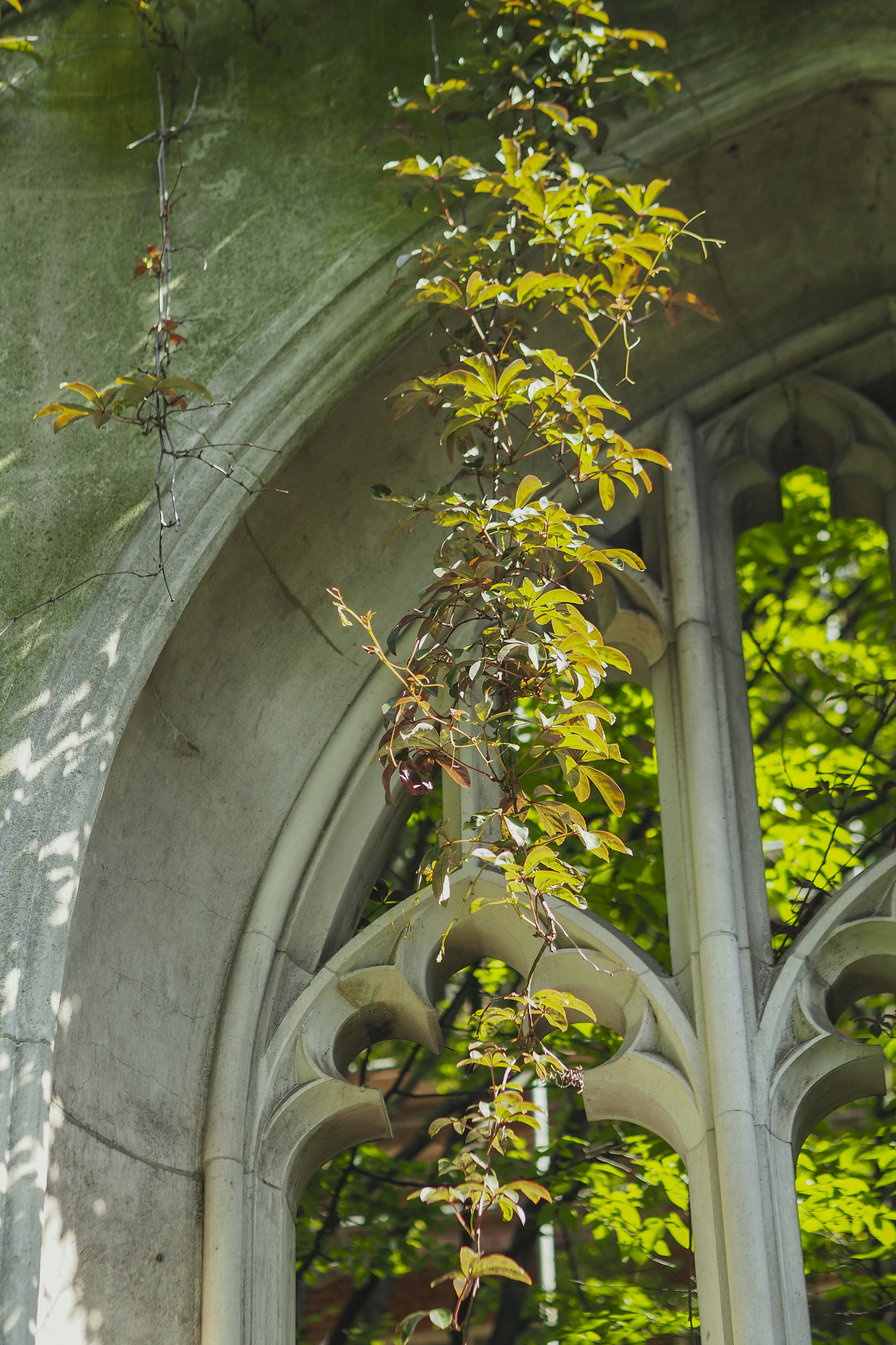 Photo by laurachouette