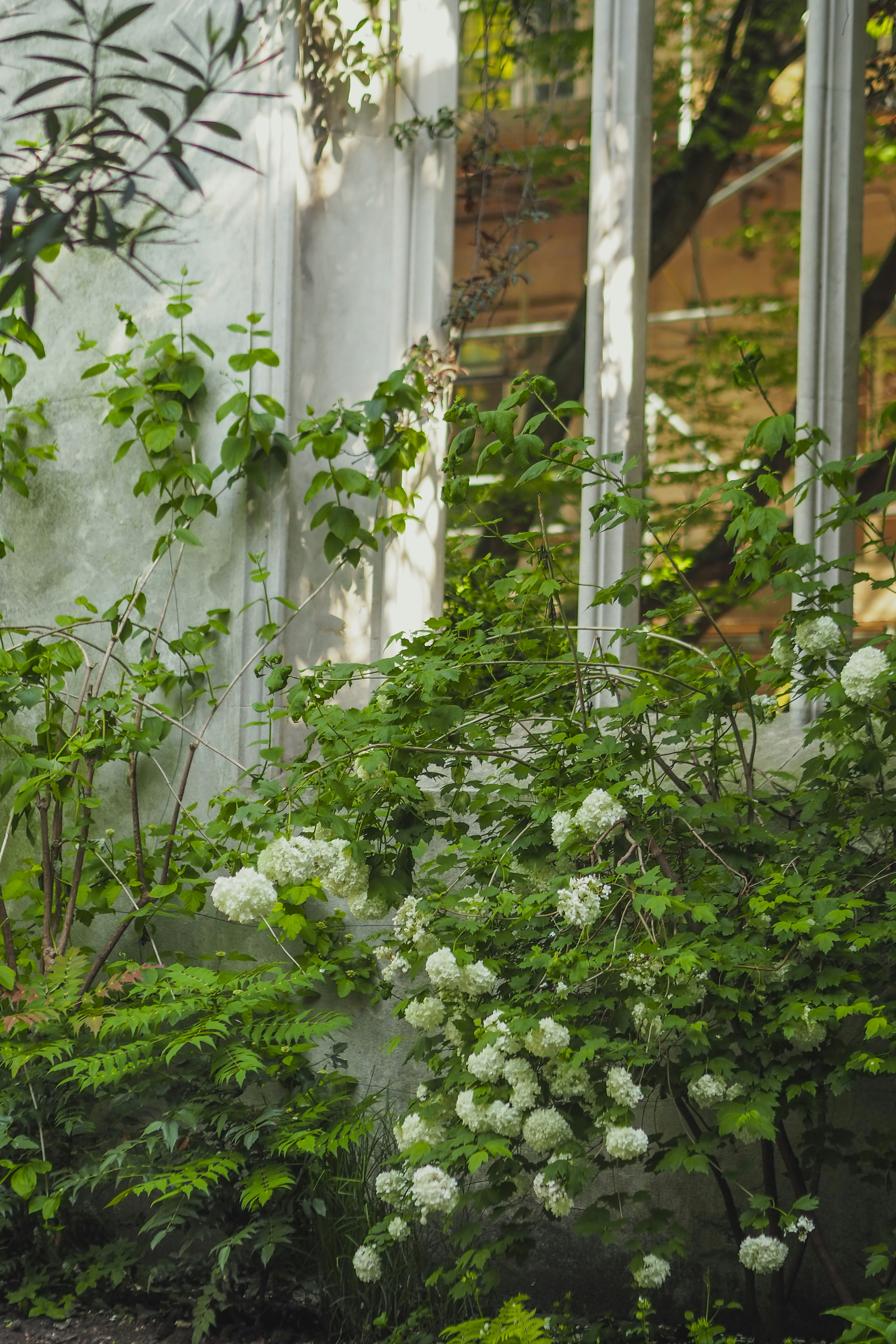 Photo by laurachouette