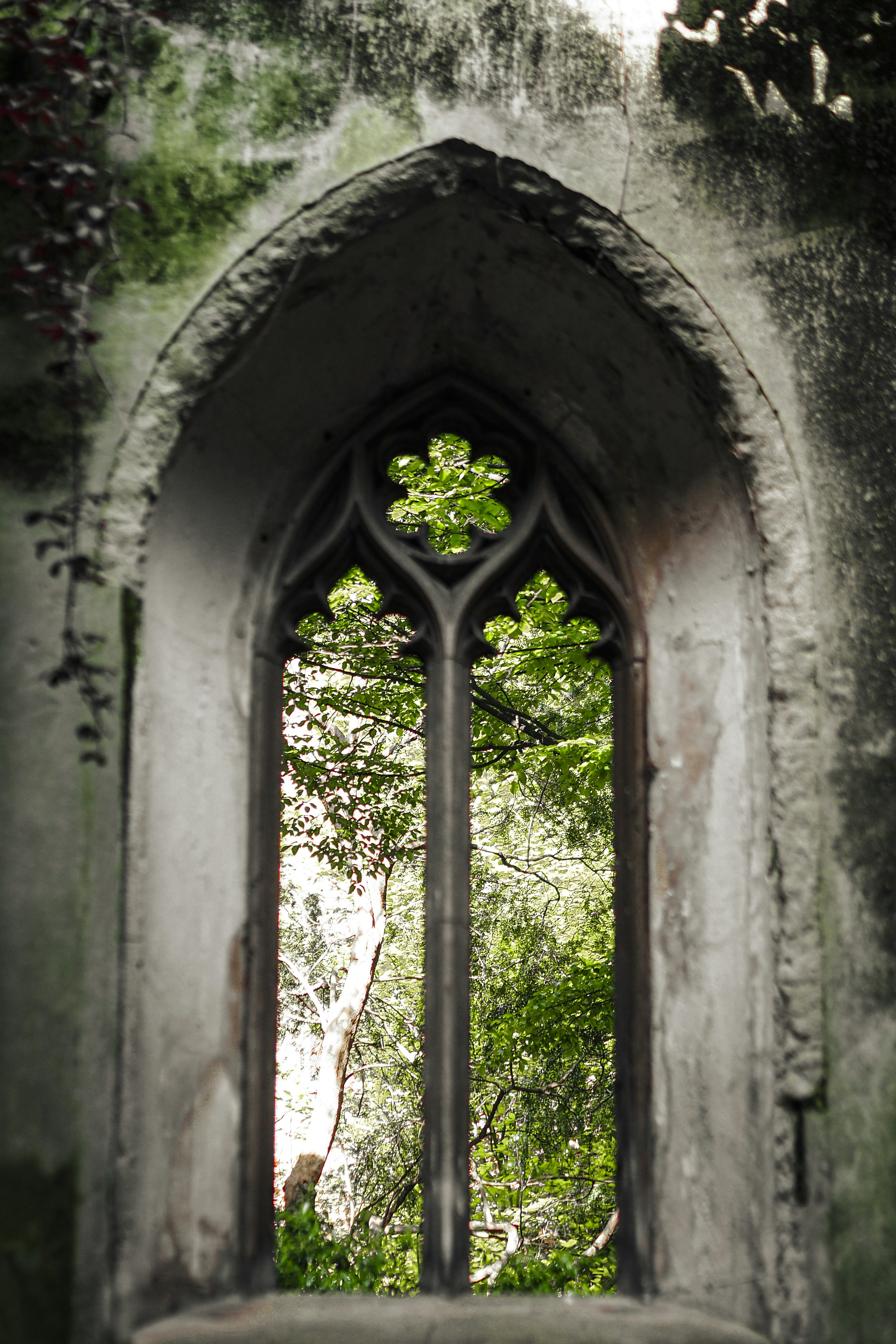 Photo by laurachouette