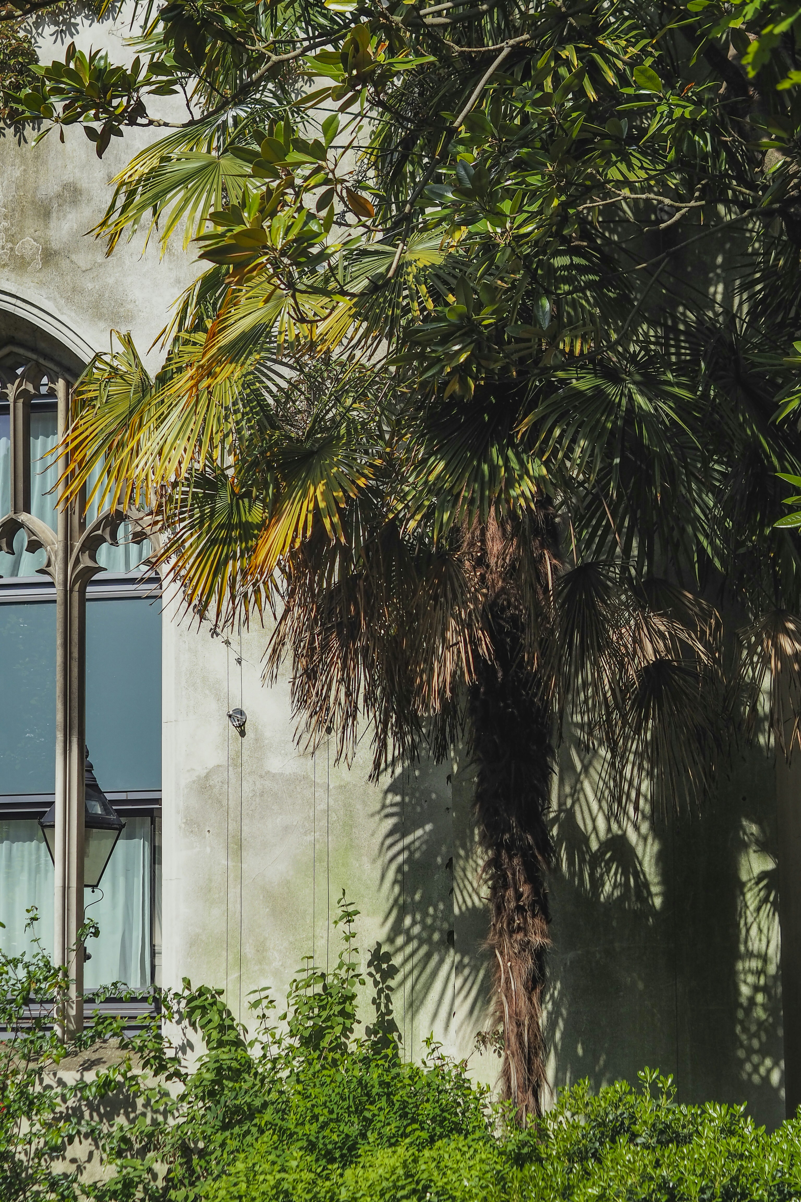 Photo by laurachouette