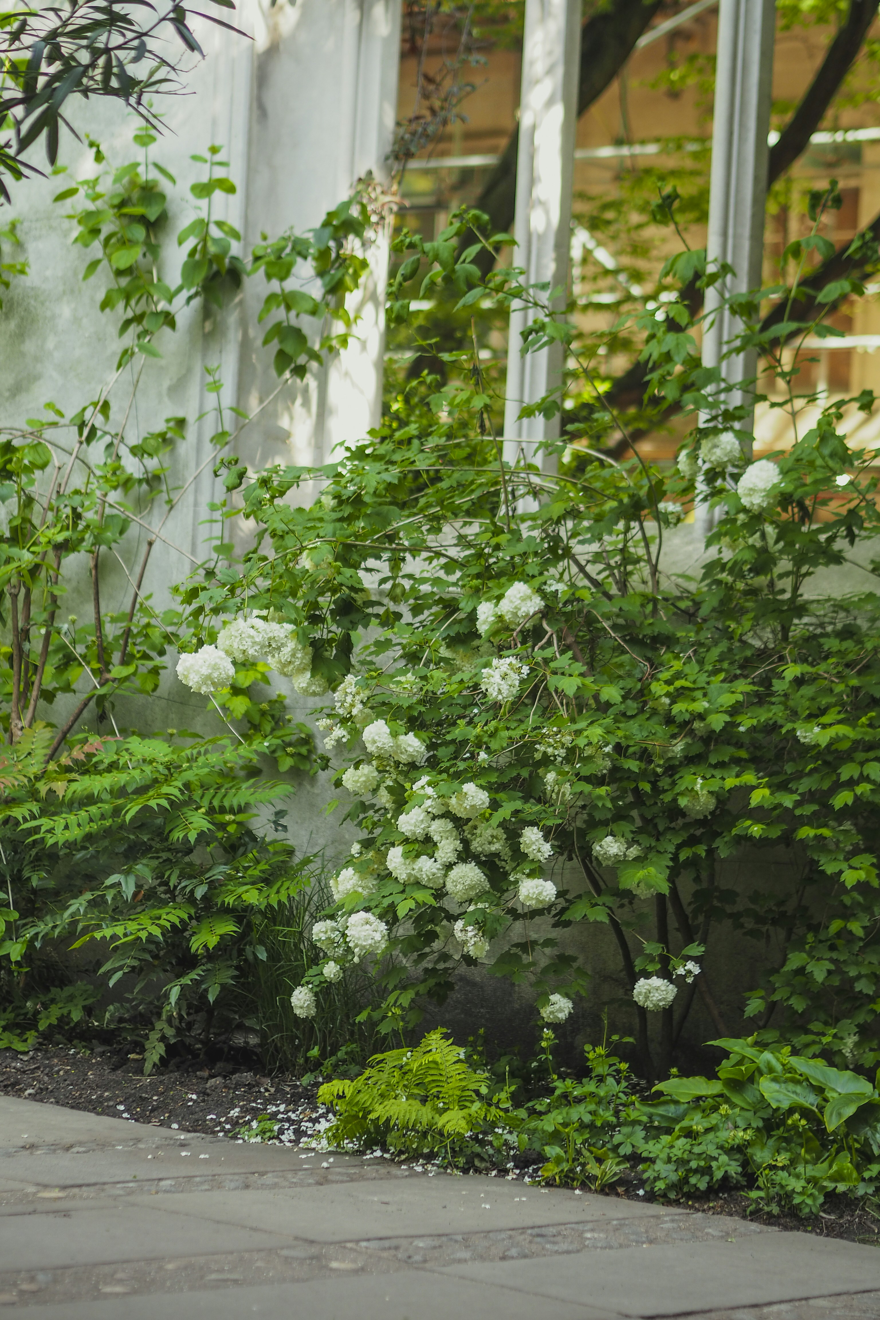 Photo by laurachouette