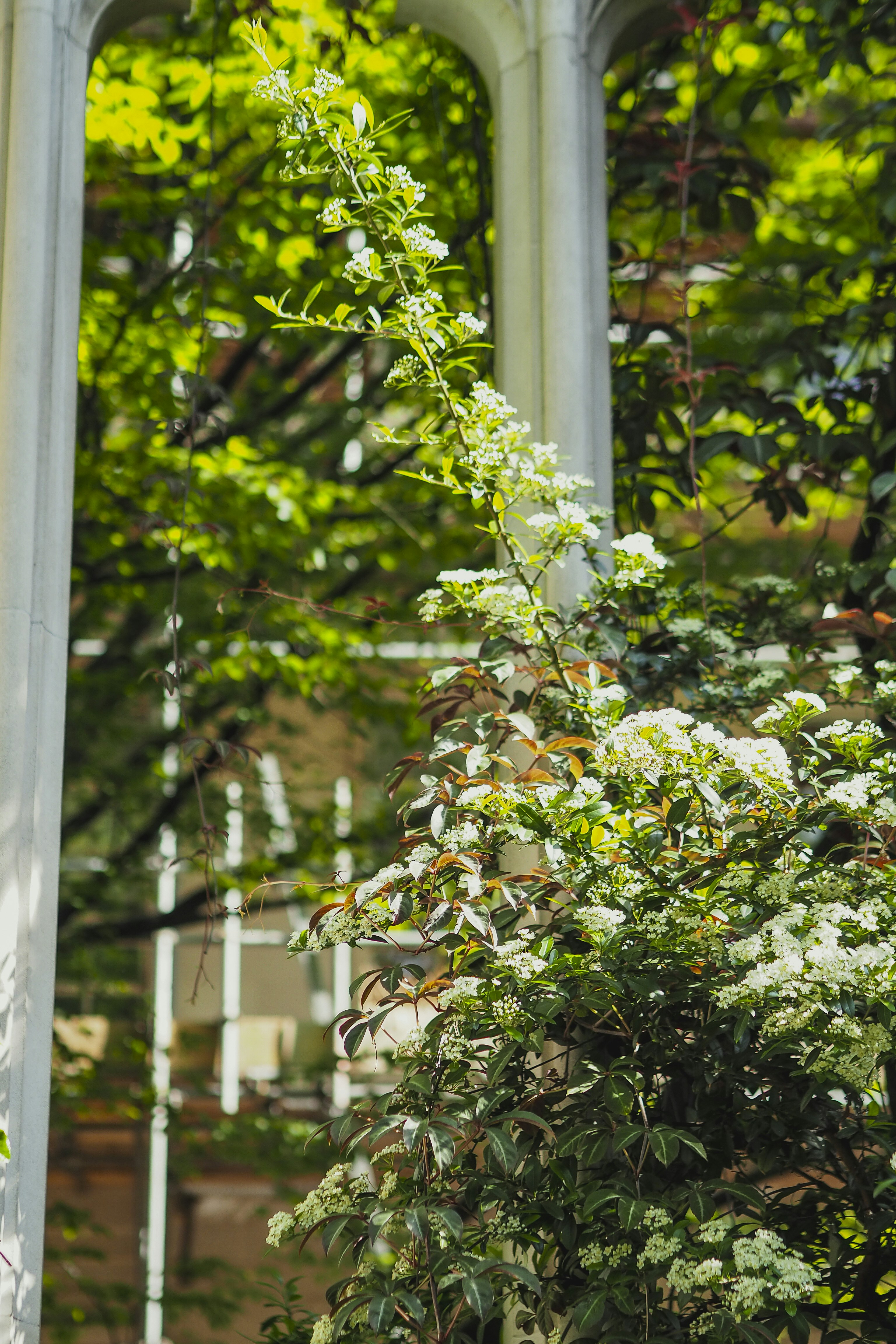 Photo by laurachouette