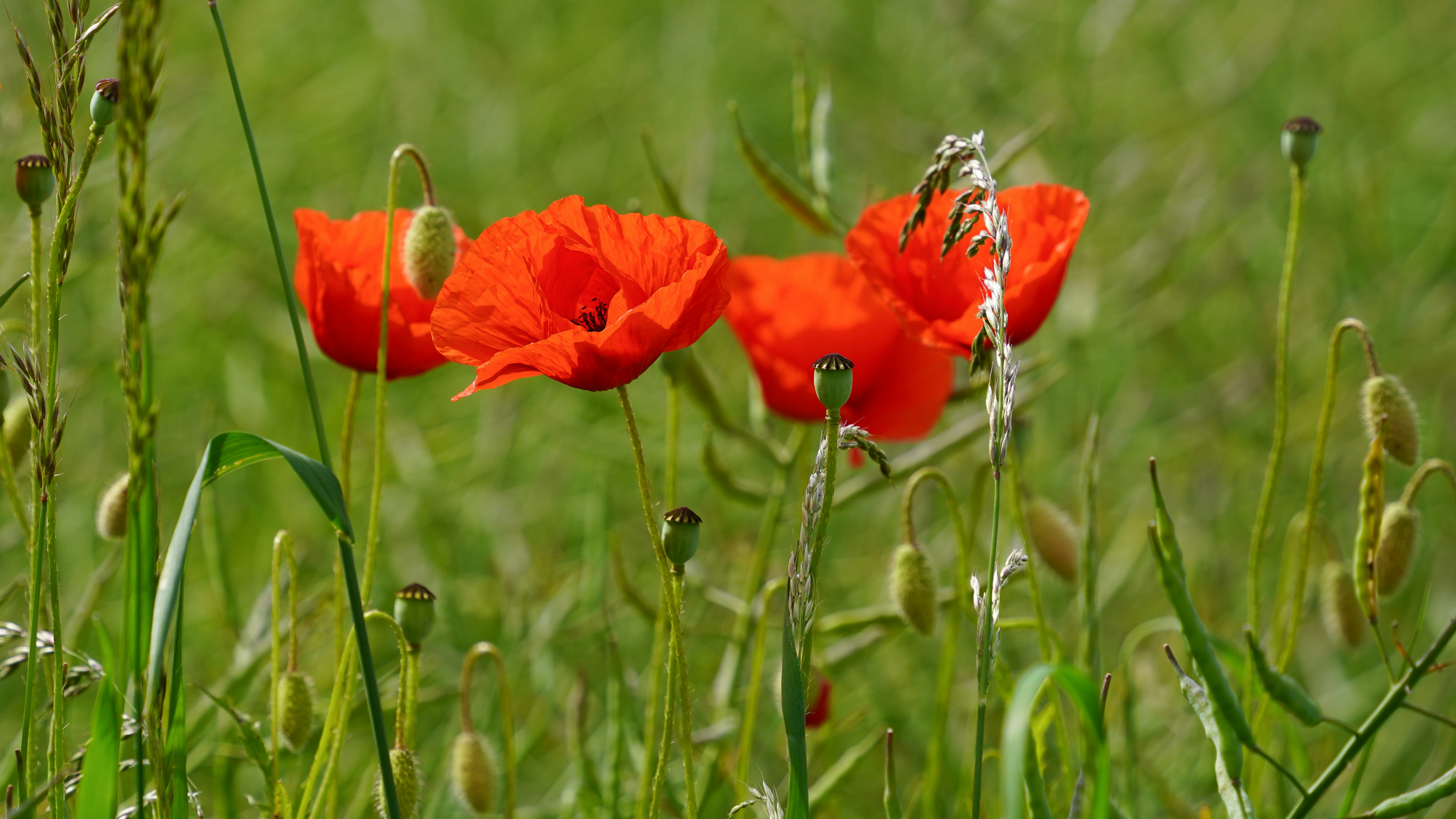 Photo by magictravel