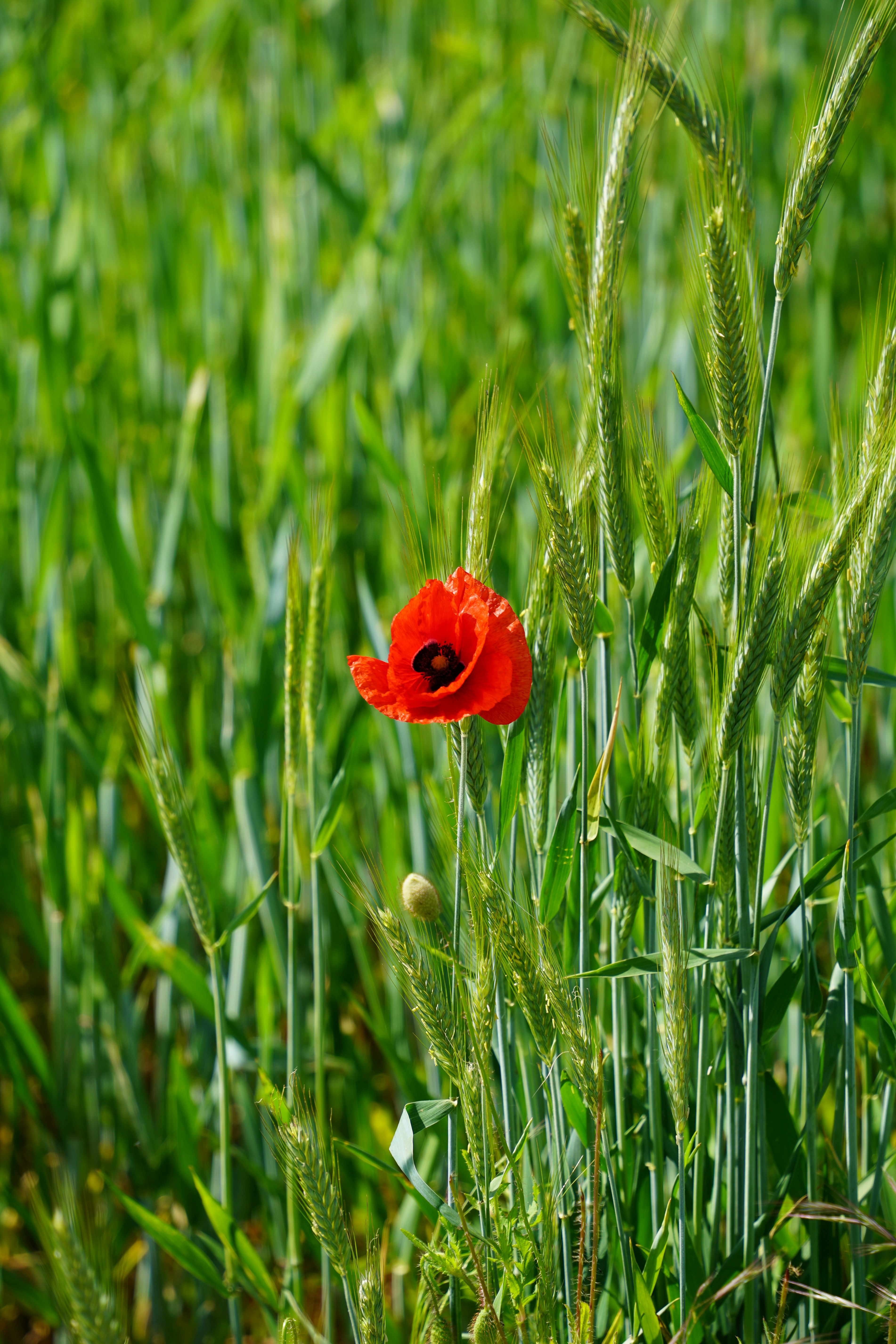 Photo by magictravel