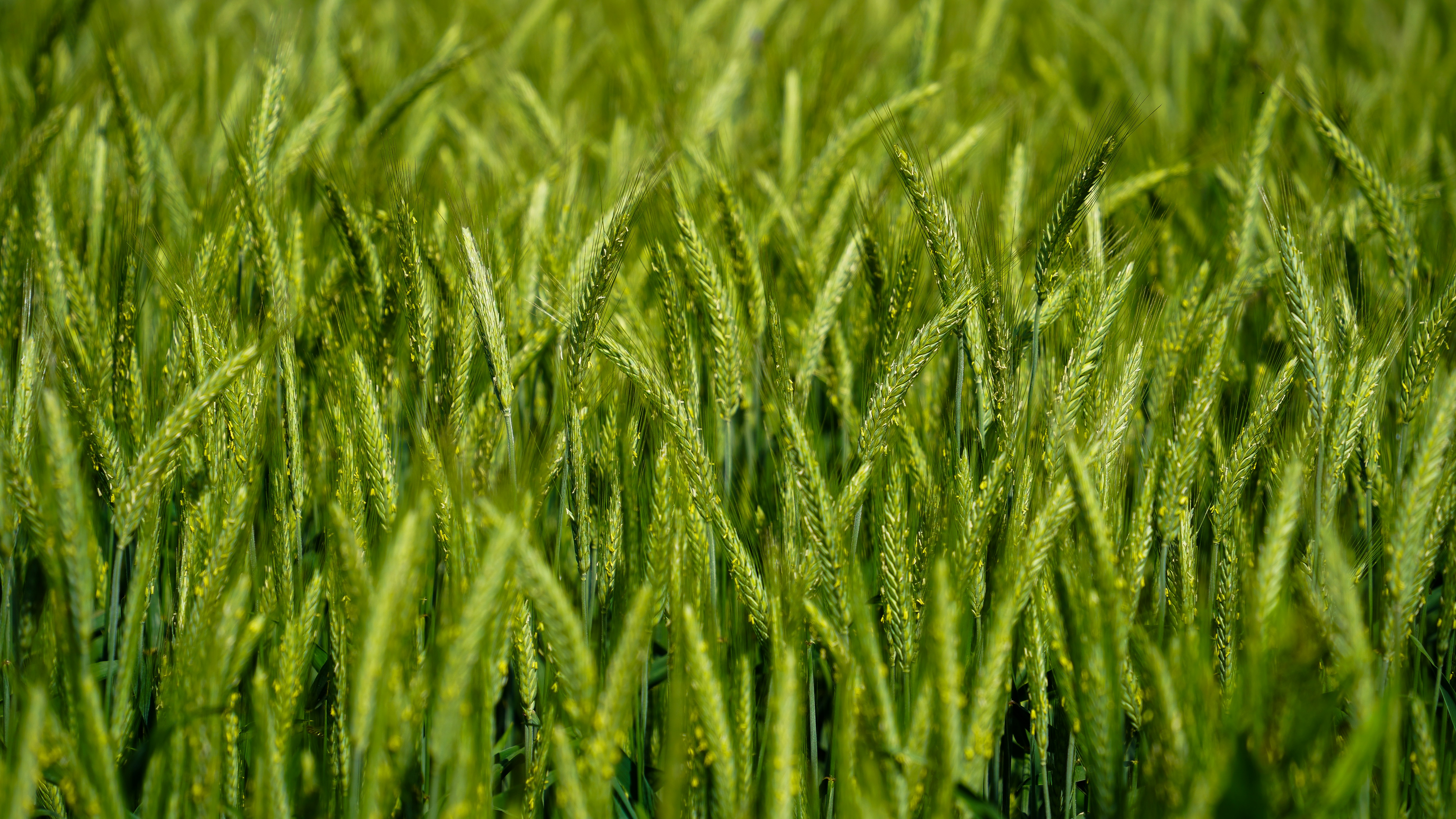 Photo by magictravel