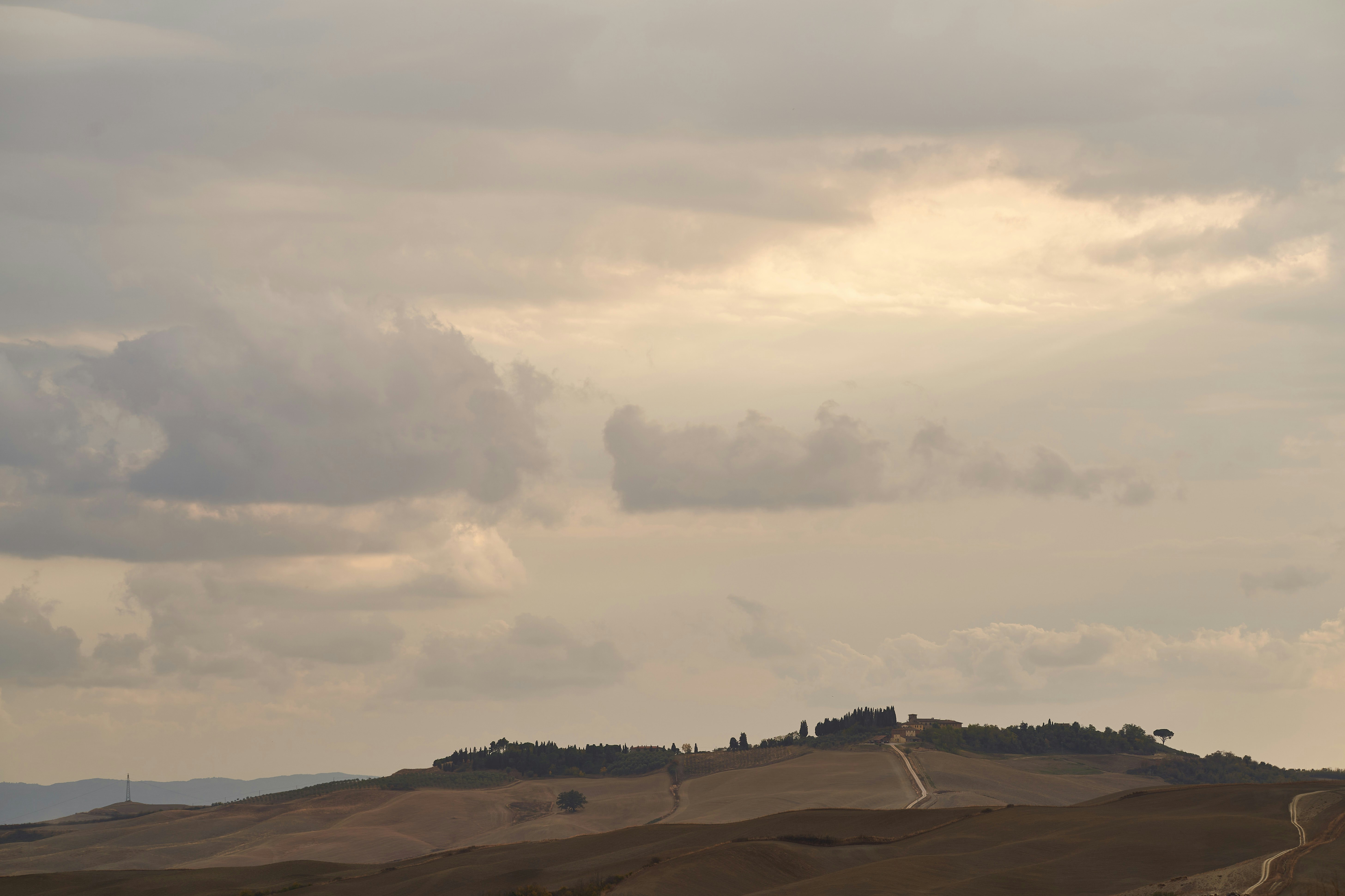 Photo by wolfgang_hasselmann