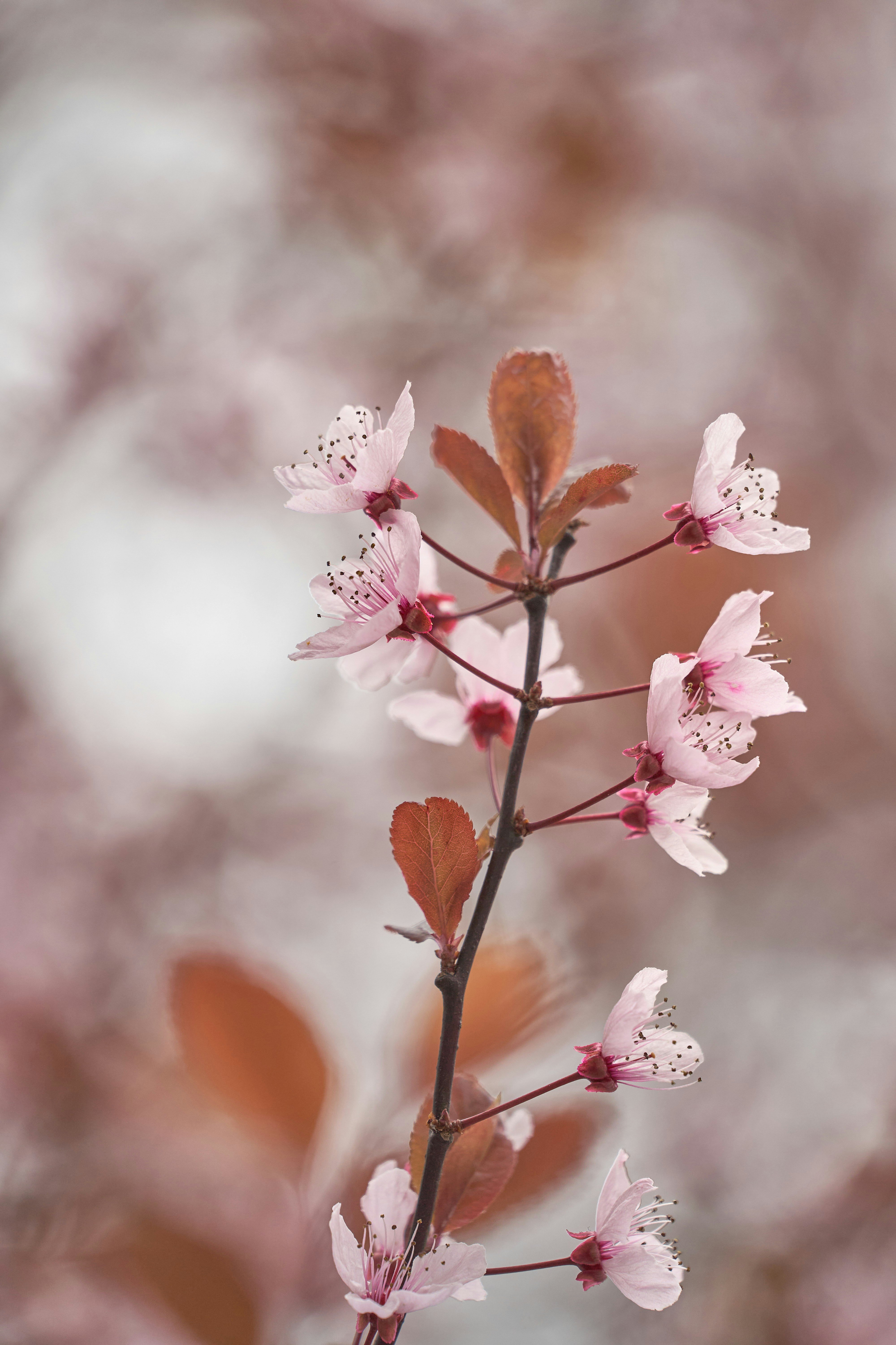 Photo by wolfgang_hasselmann