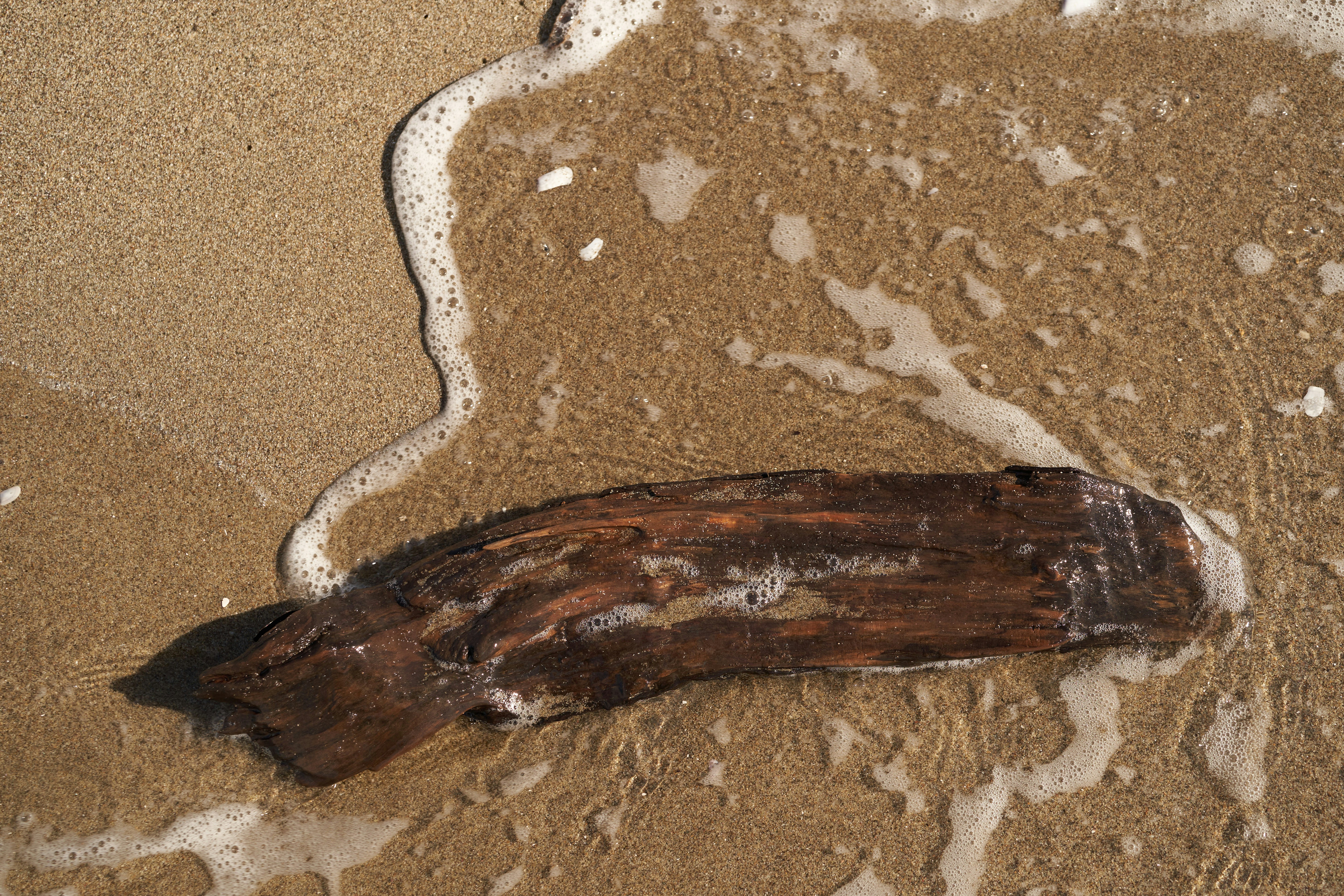 Photo by wolfgang_hasselmann