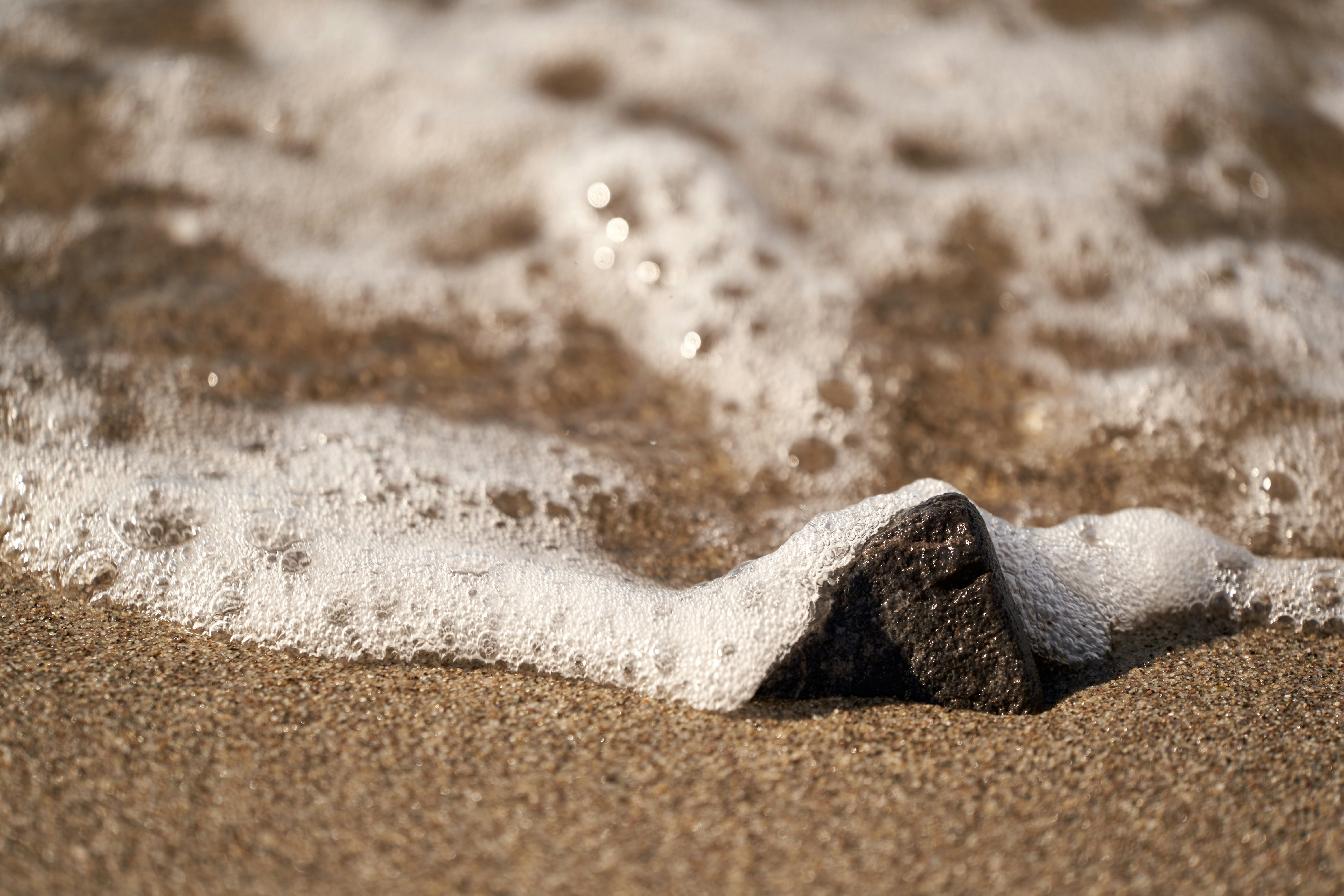 Photo by wolfgang_hasselmann