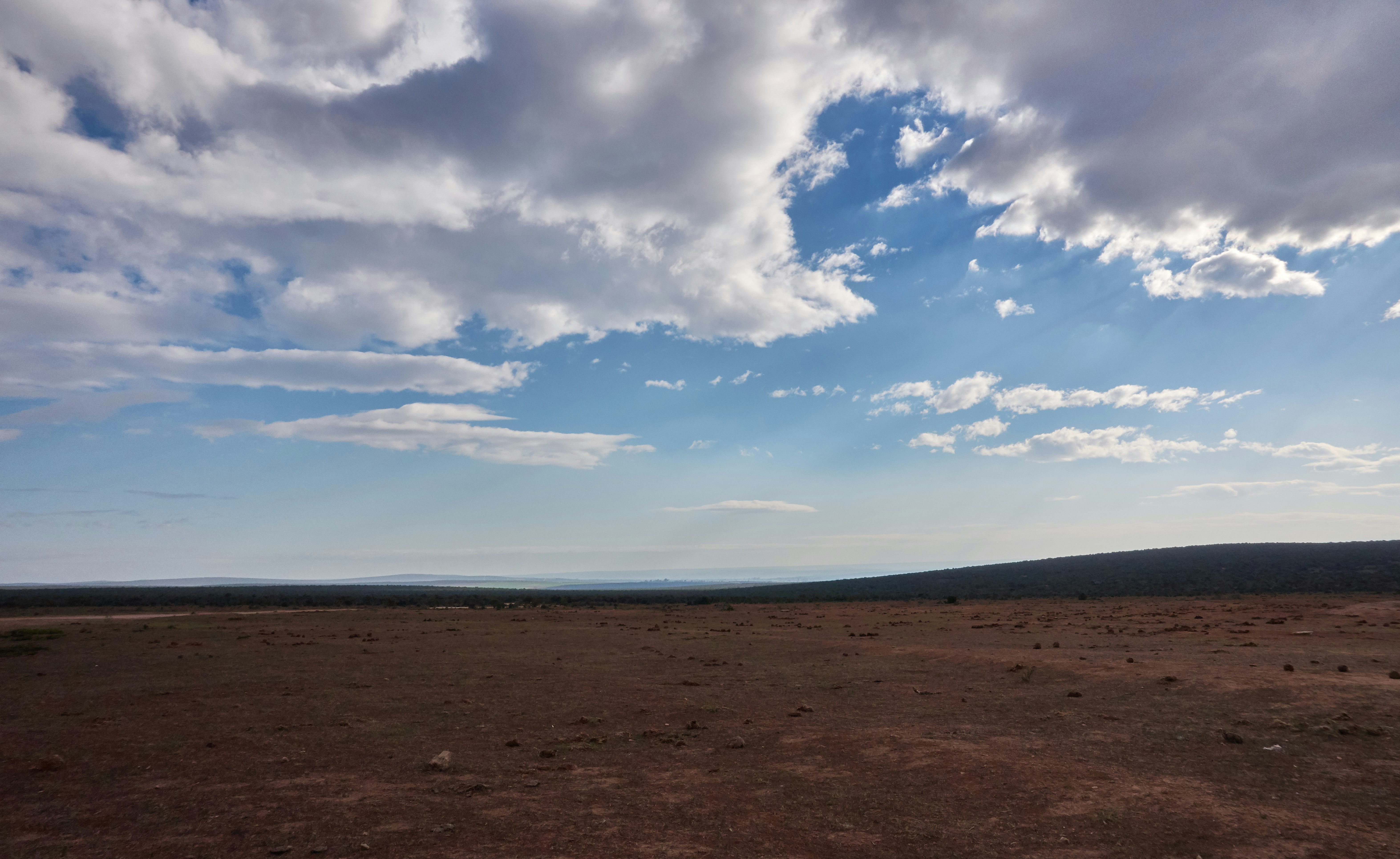 Photo by wolfgang_hasselmann