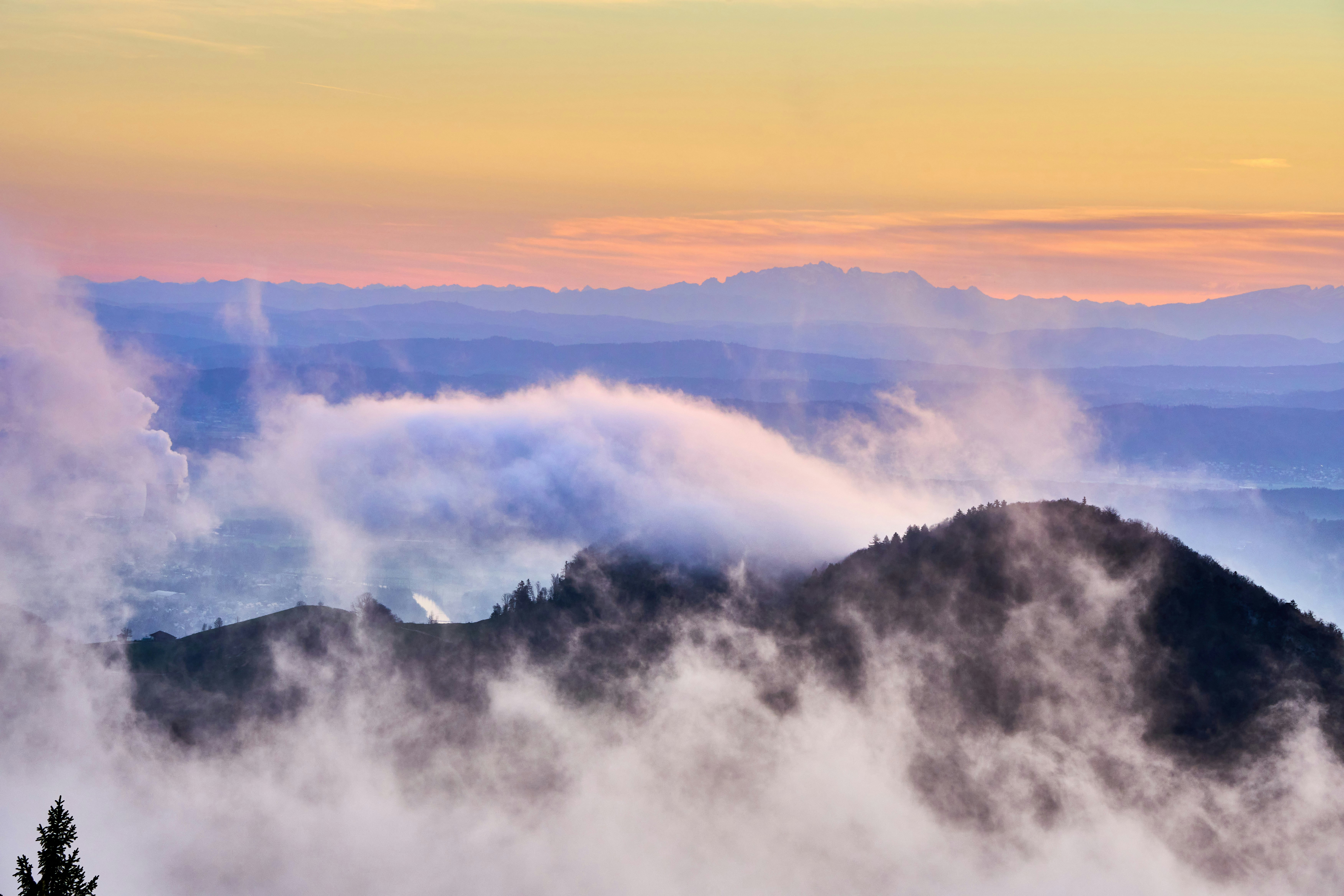 Photo by wolfgang_hasselmann