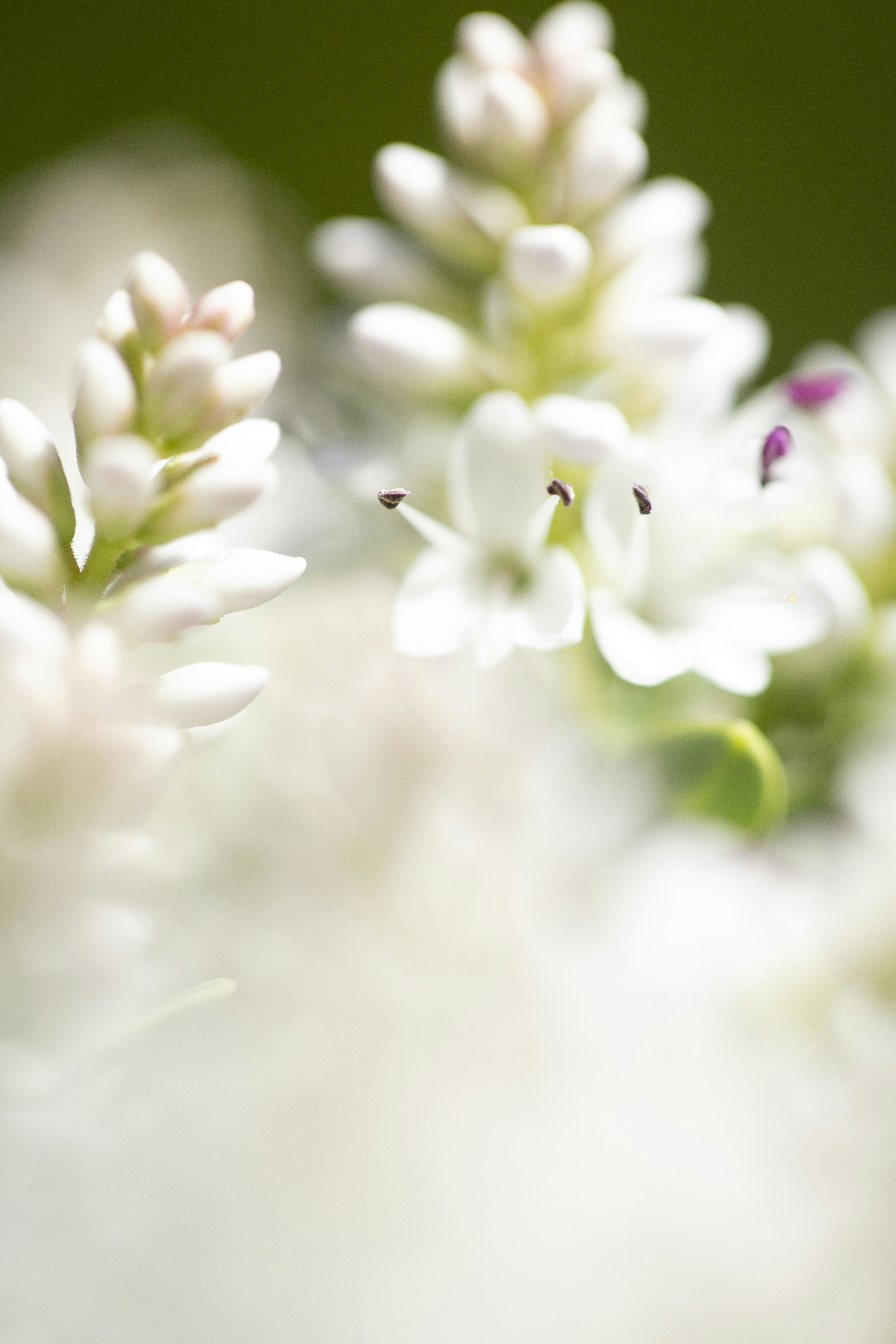 Photo by ditakesphotos