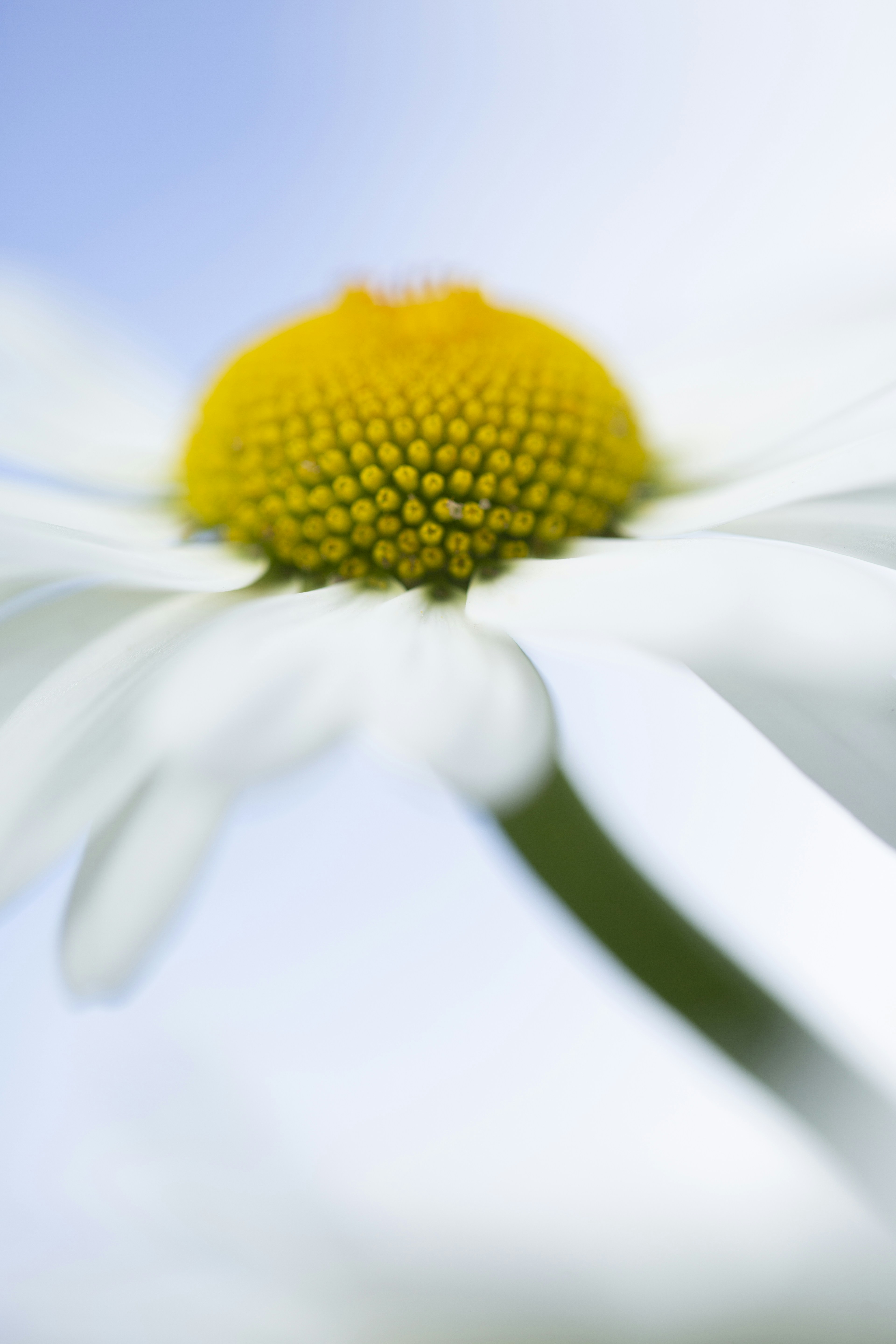 Photo by ditakesphotos