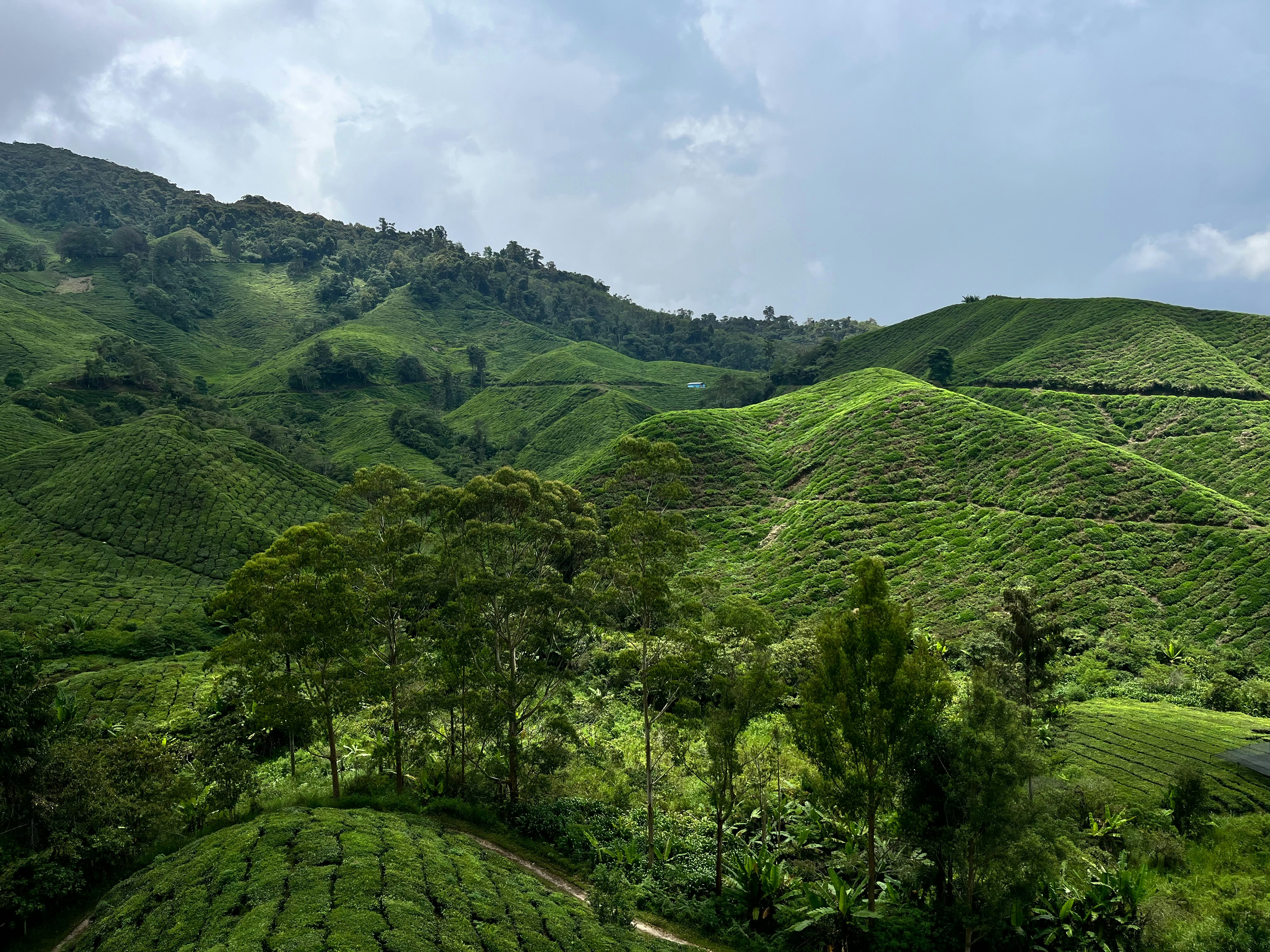 Photo by pureimagery