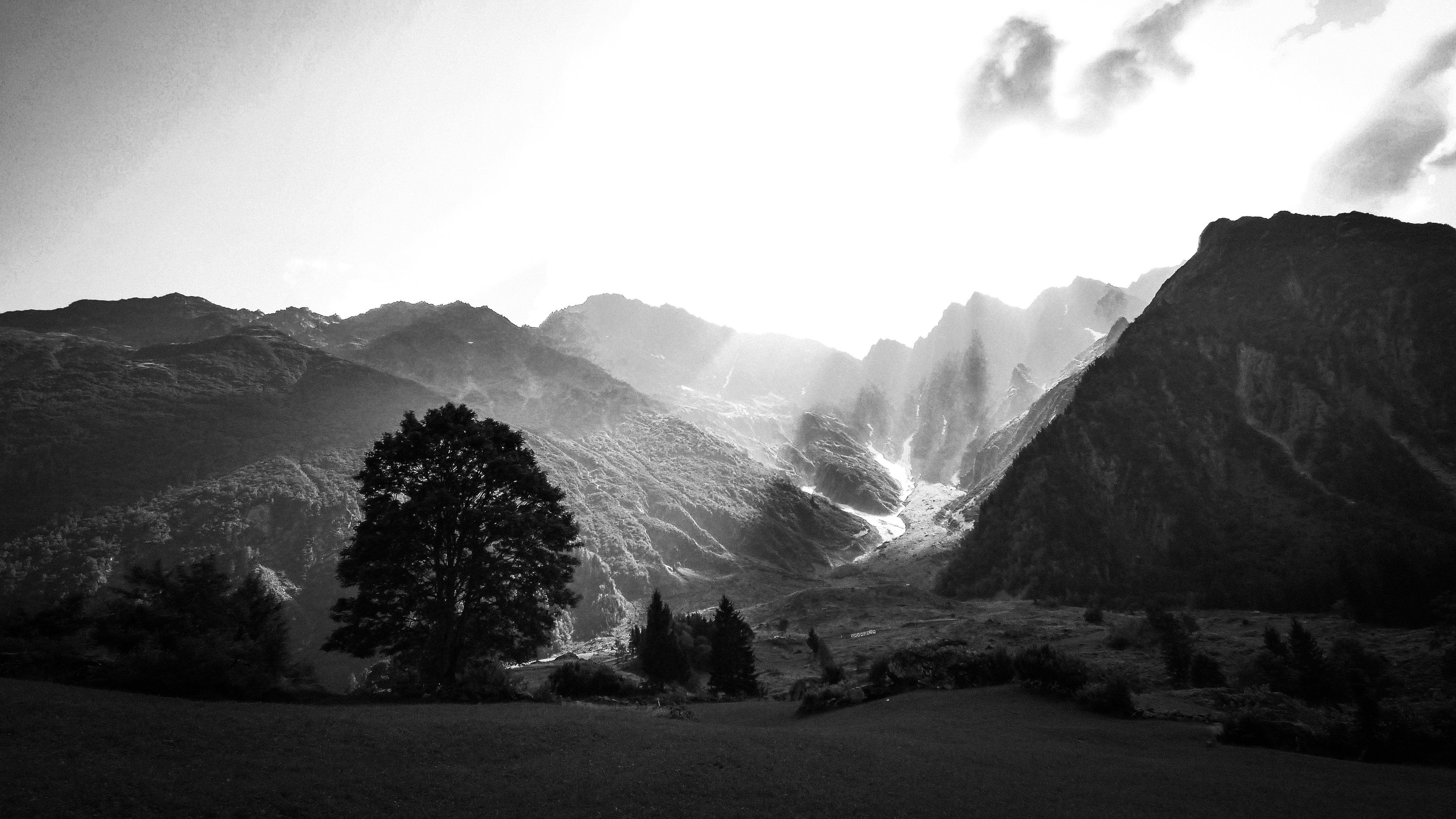 Photo by griscarafia