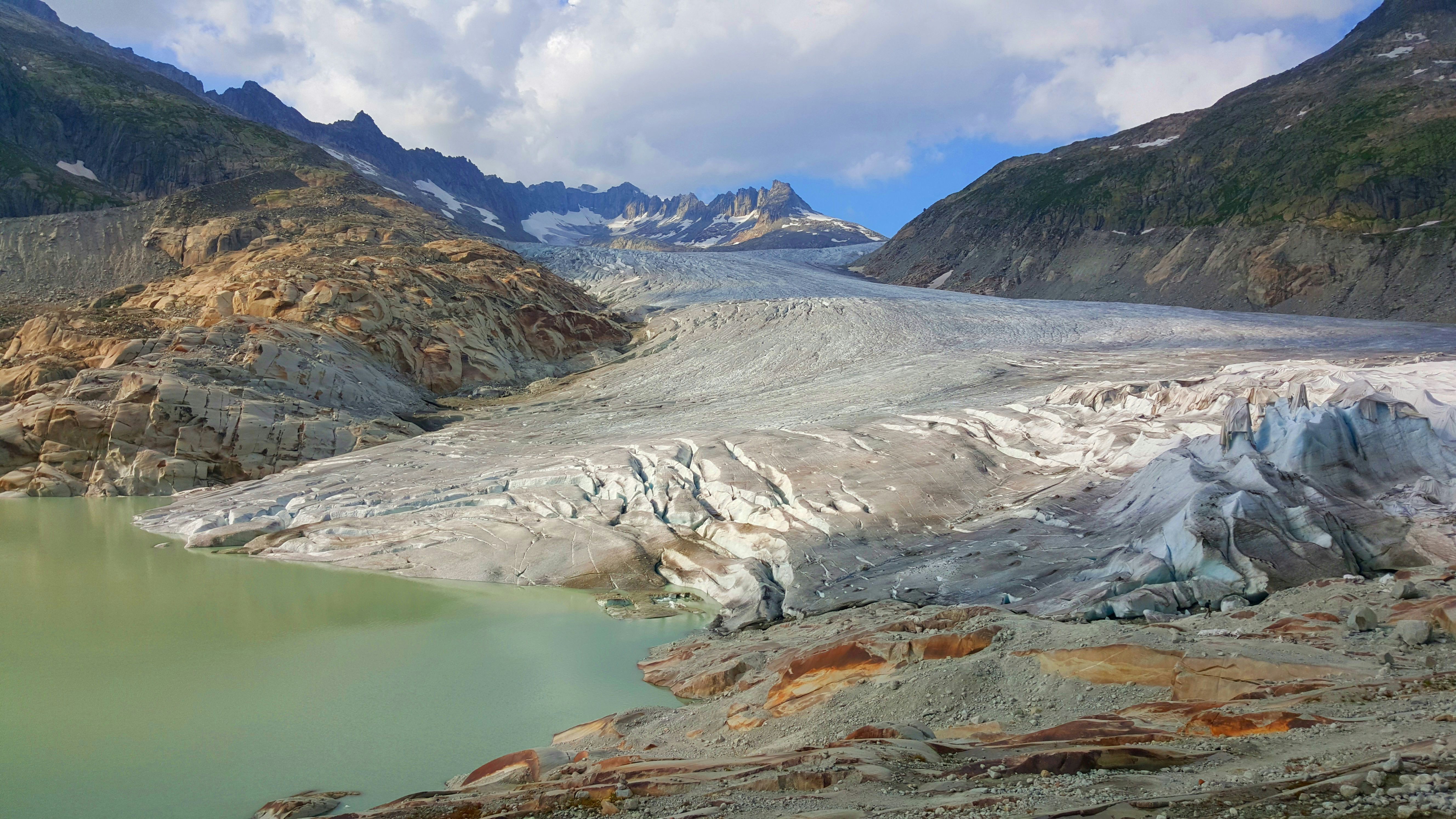 Photo by griscarafia