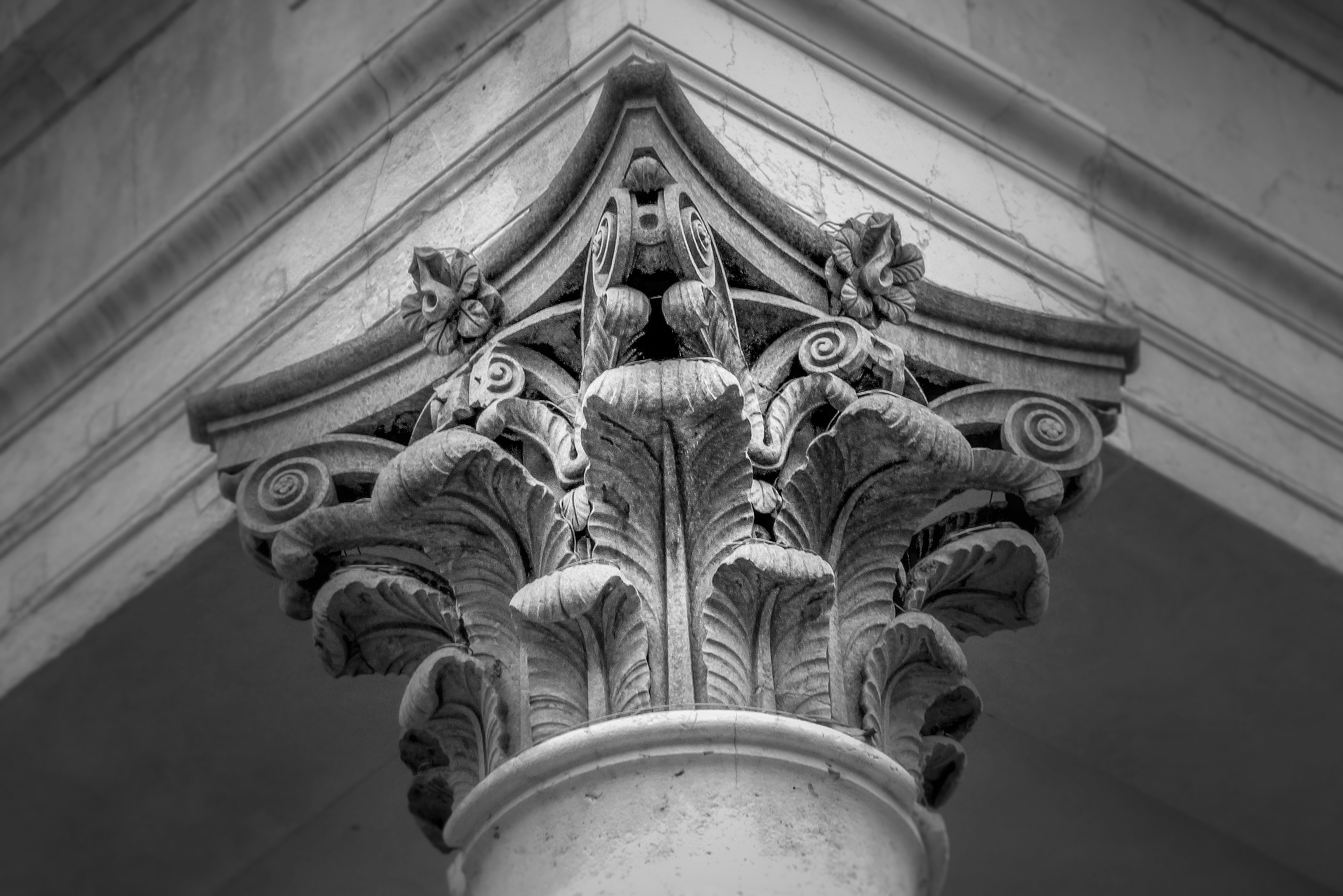 Photo by griscarafia