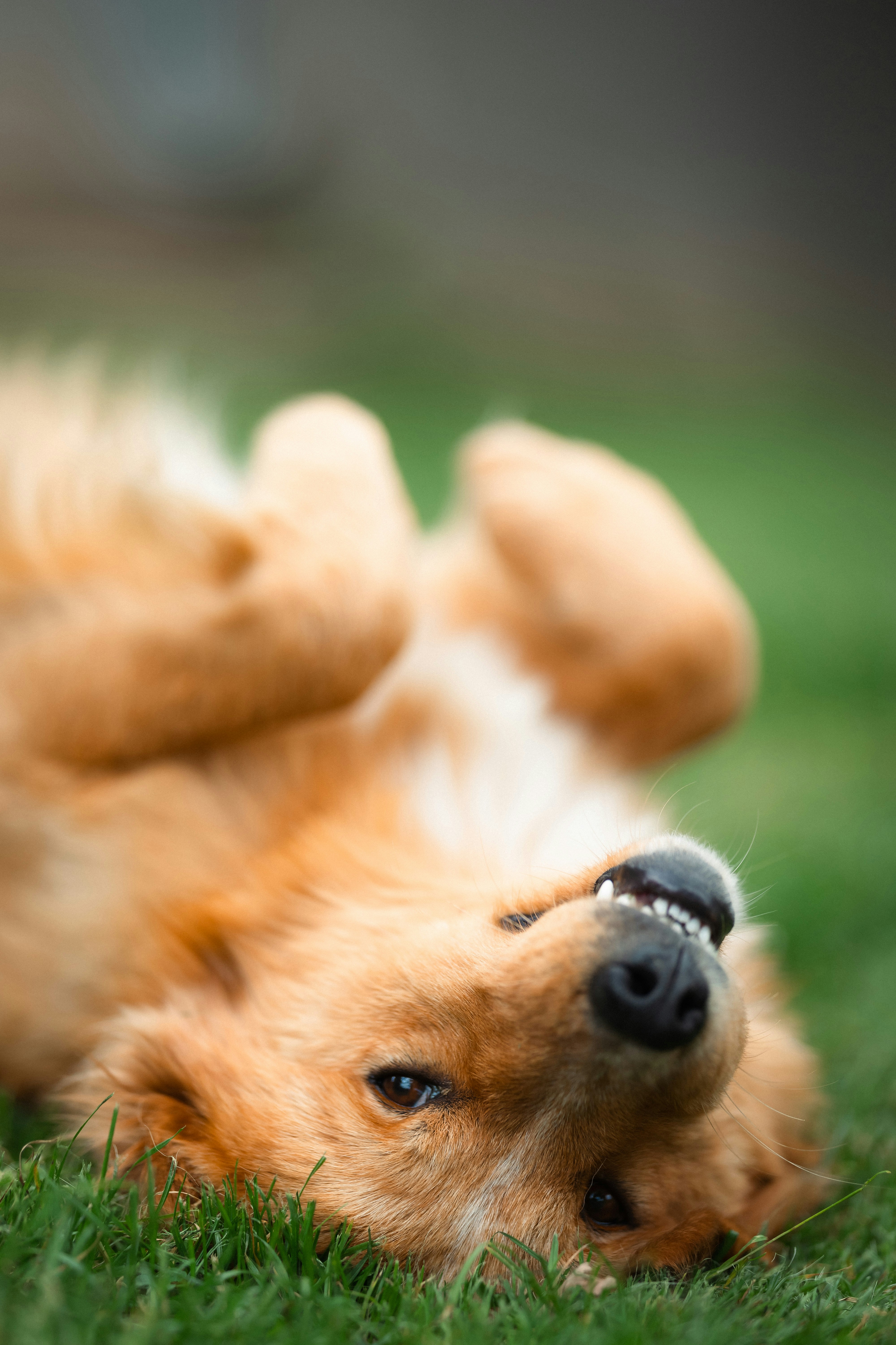 Photo by andreevaleksandar