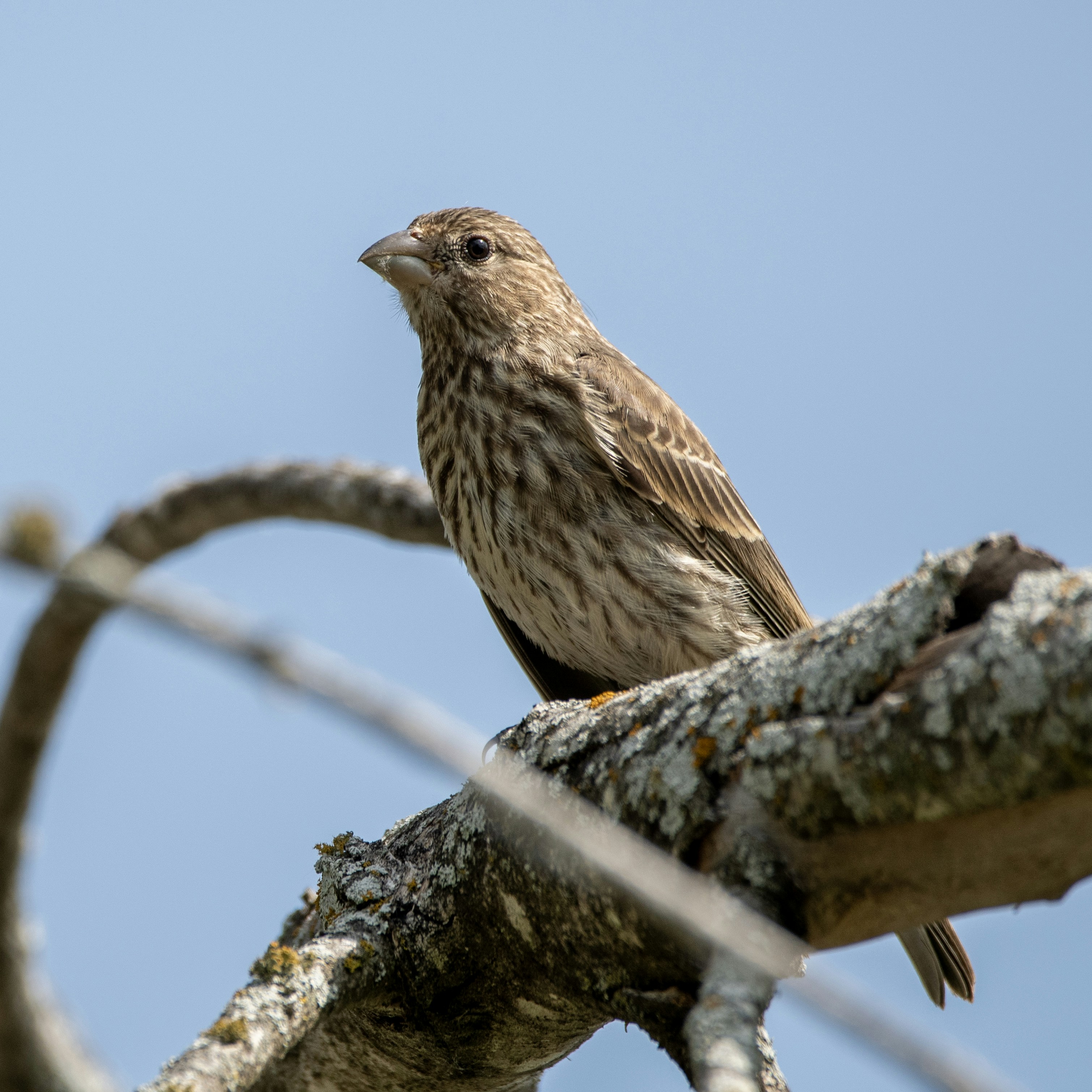 Photo by tracminhvu