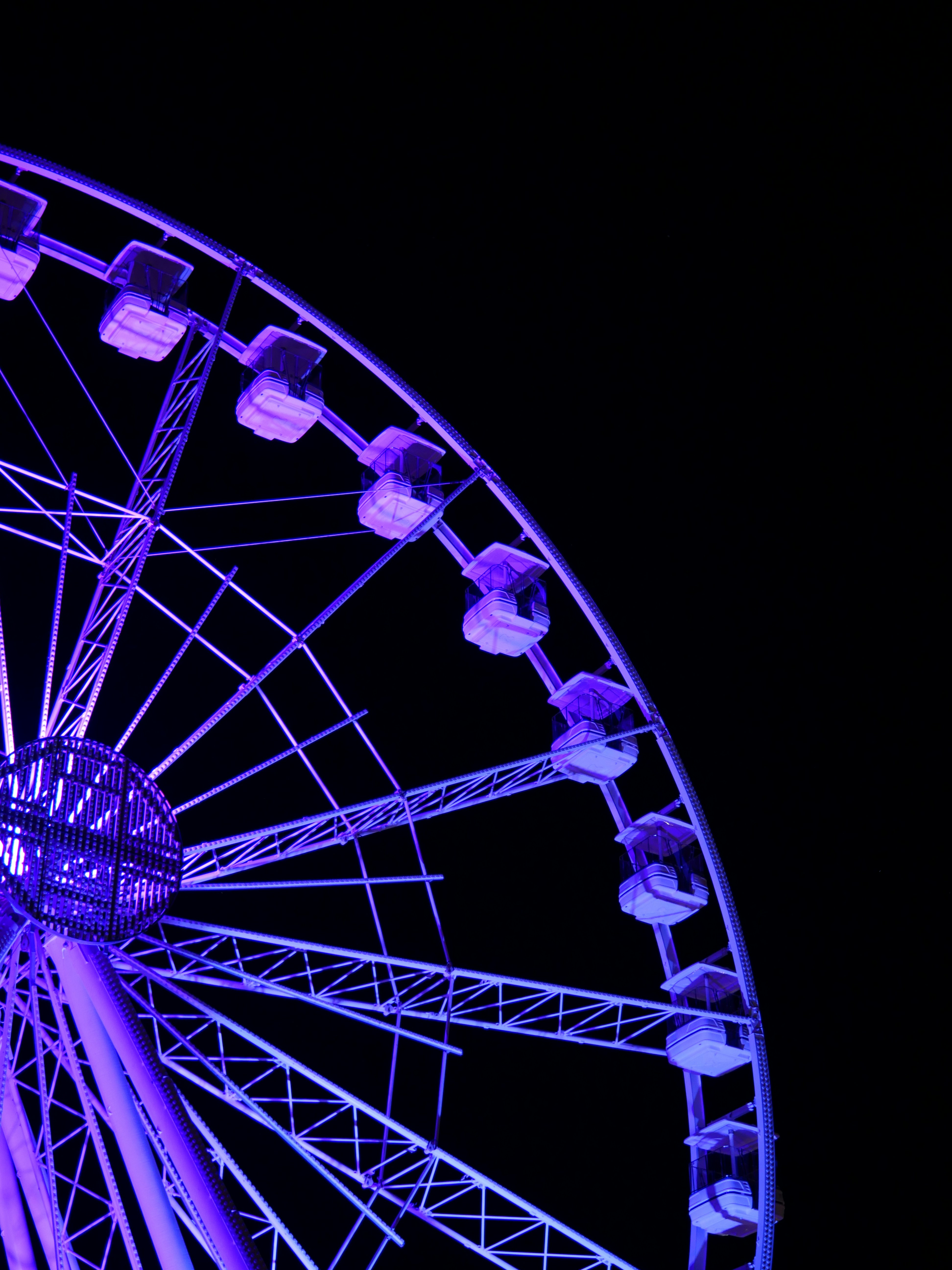 Photo by nimbus_vulpis