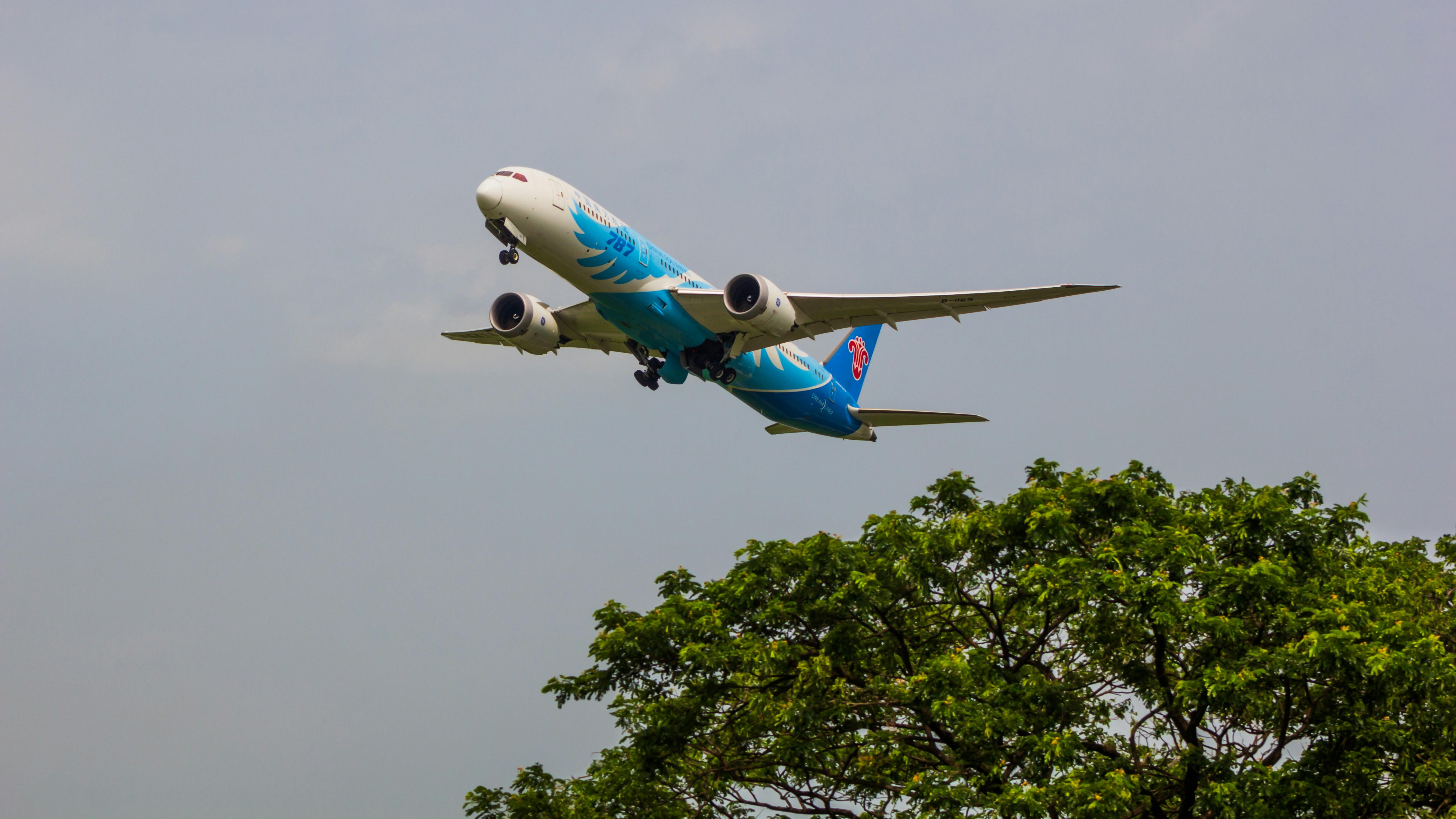 a blue and white airplane flying over a tree