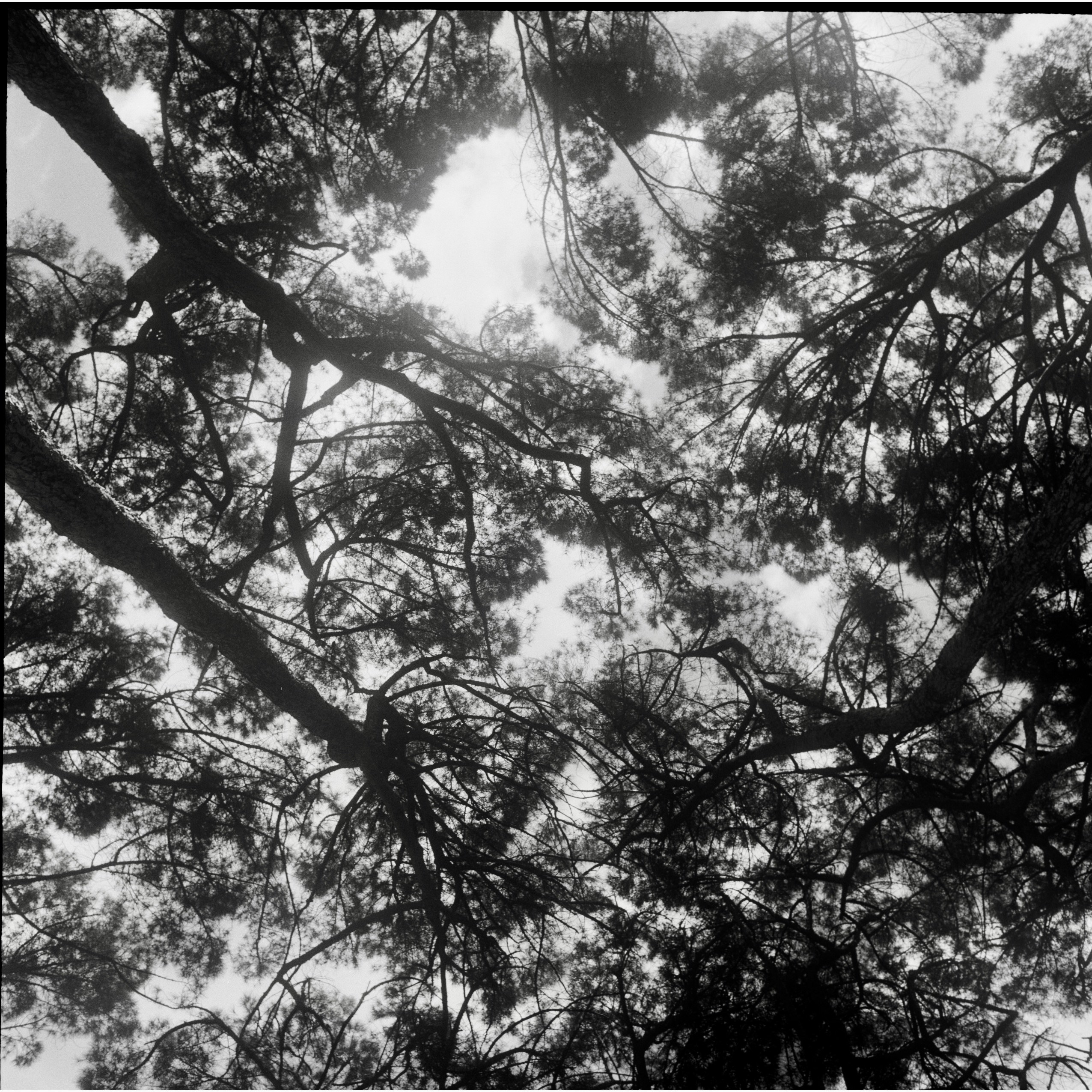 Photo by tomporelmonte