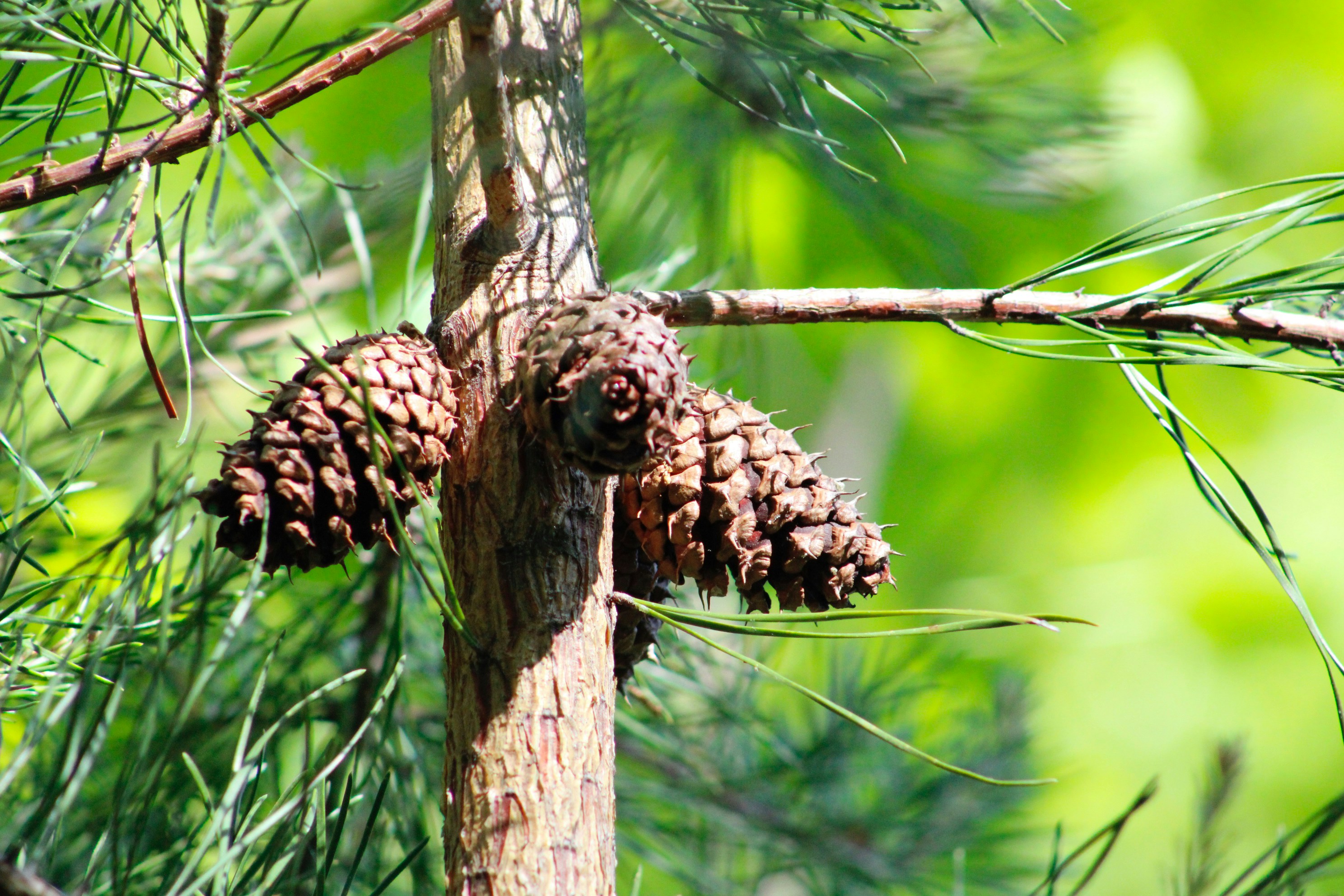 Photo by lisa_duqlaw