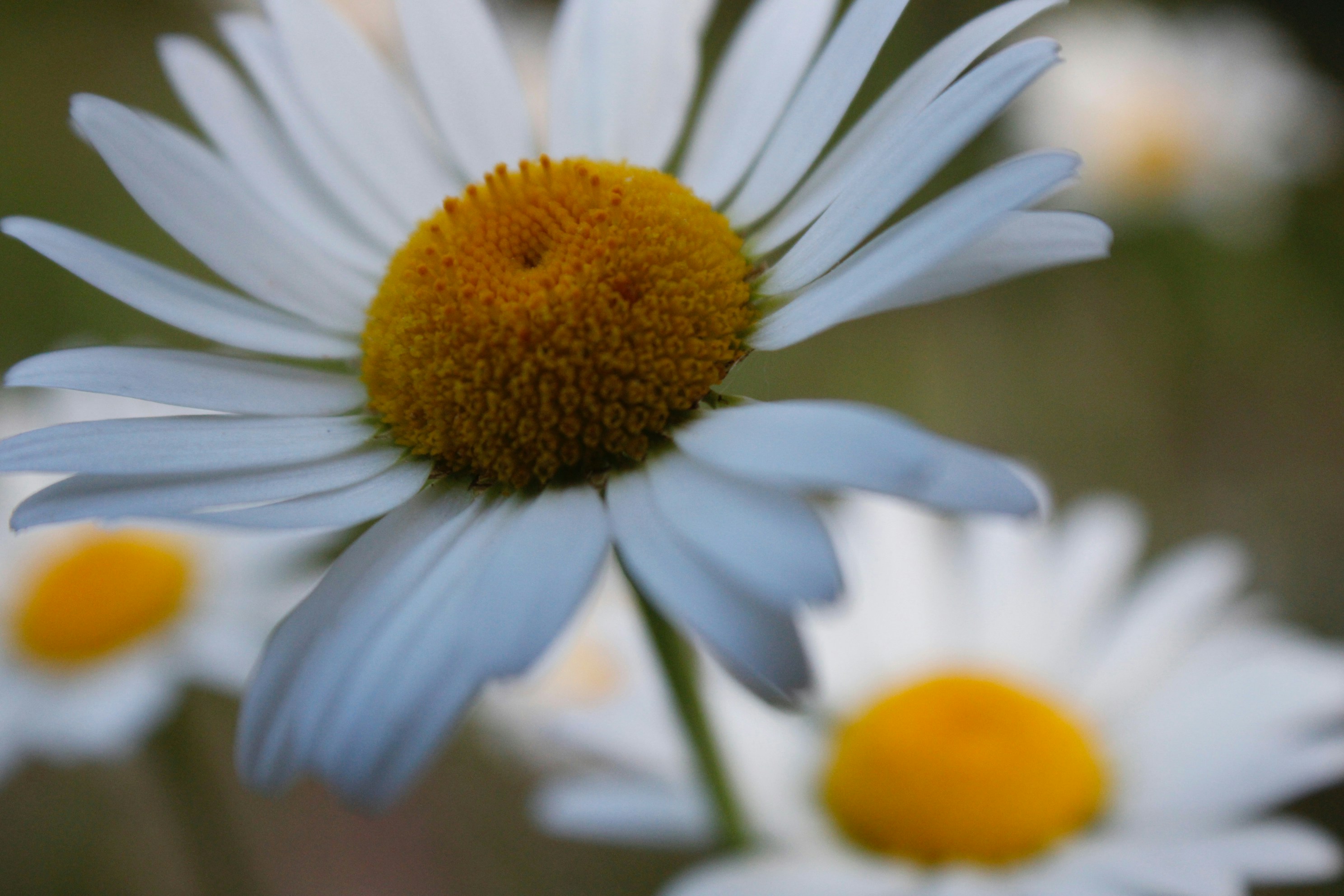 Photo by lisa_duqlaw