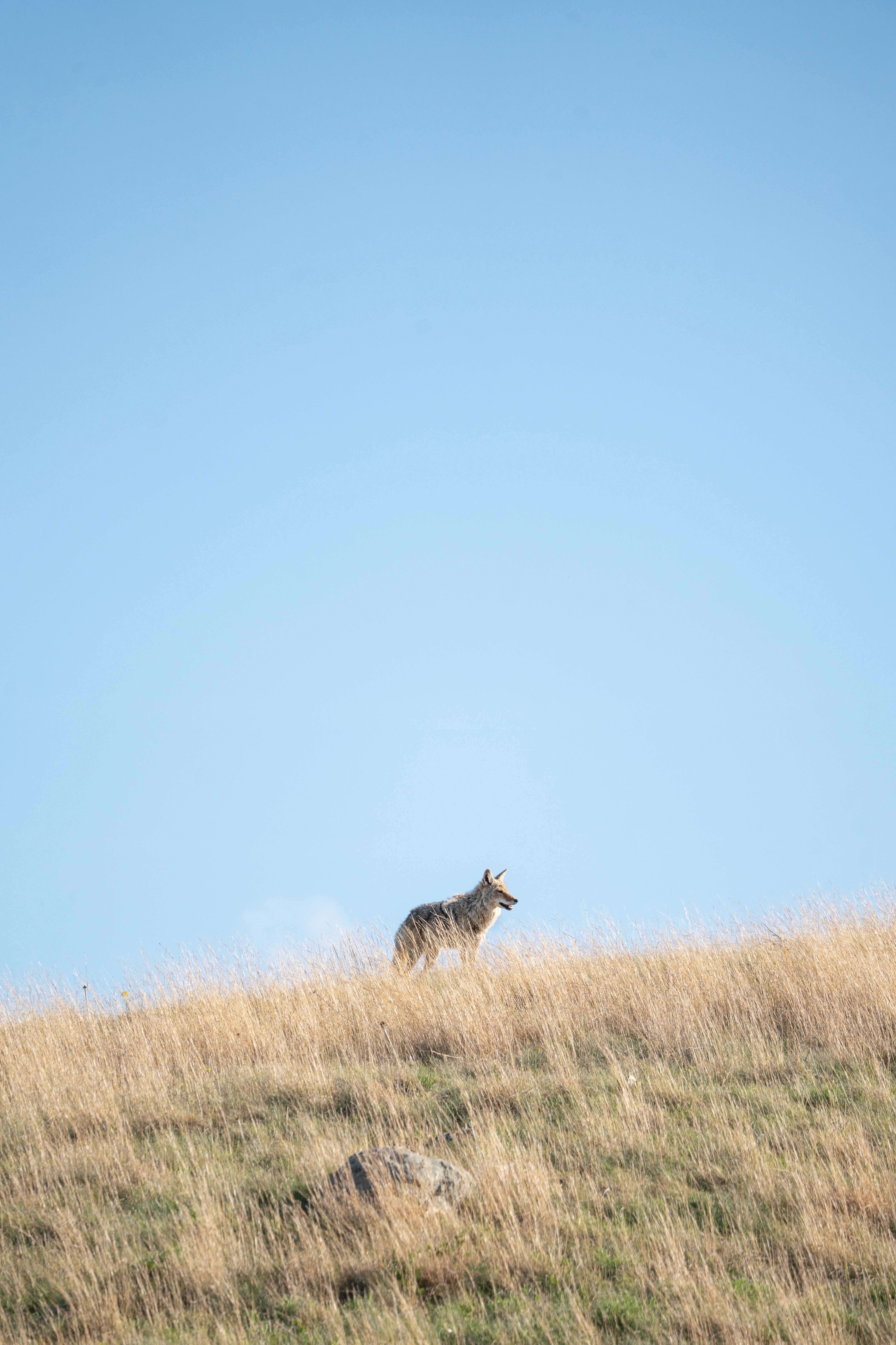 Wind Cave National Park - 1-Day Highlights