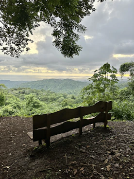 a wooden bench sitting on top of a dirt field