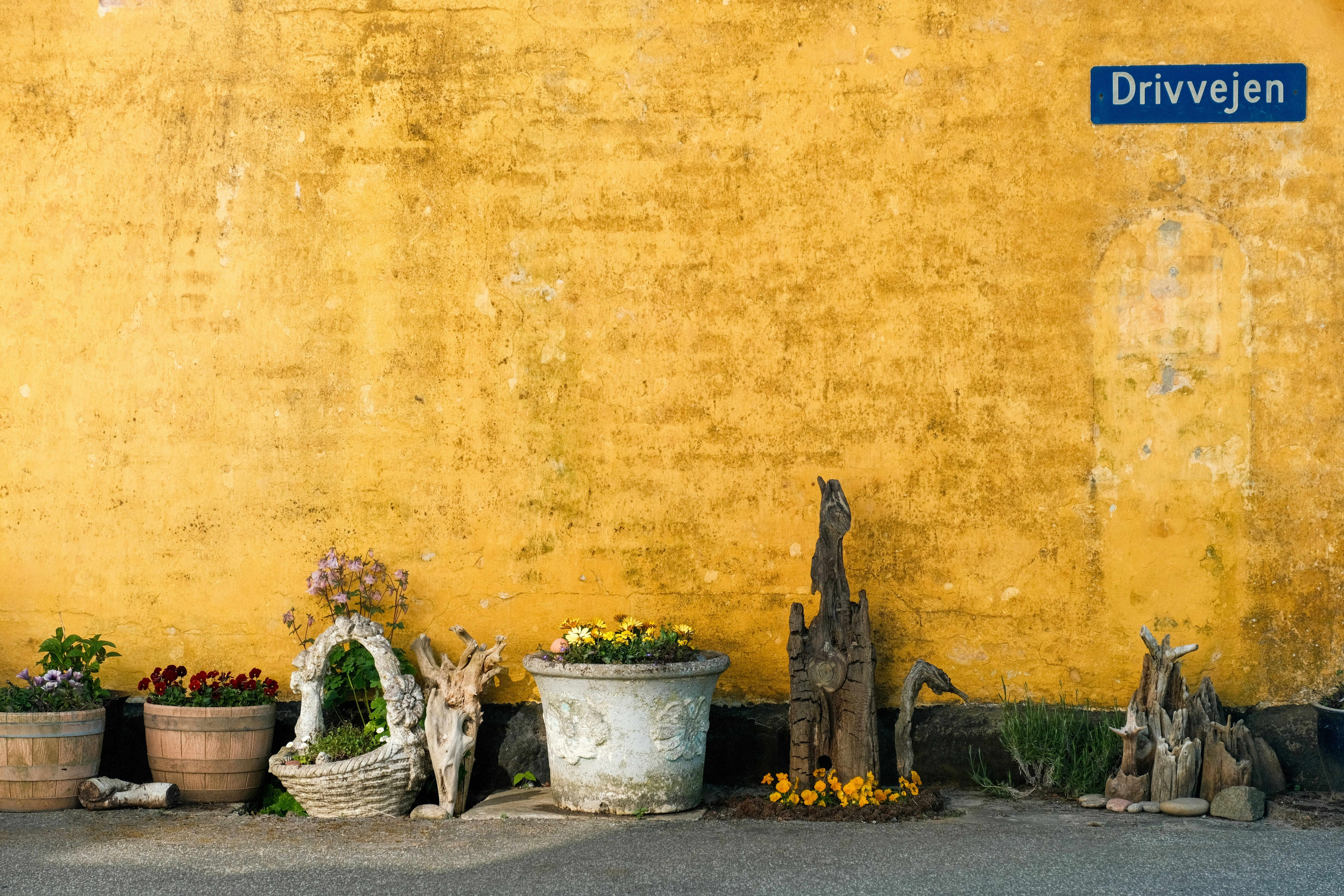 a yellow wall with potted plants next to it