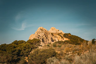 a mountain with trees on the side of it