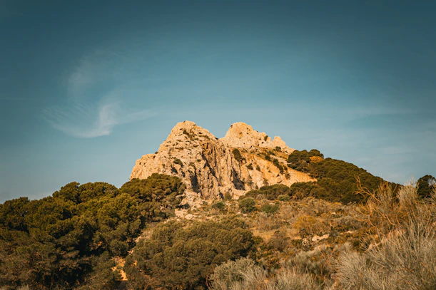 a mountain with trees on the side of it