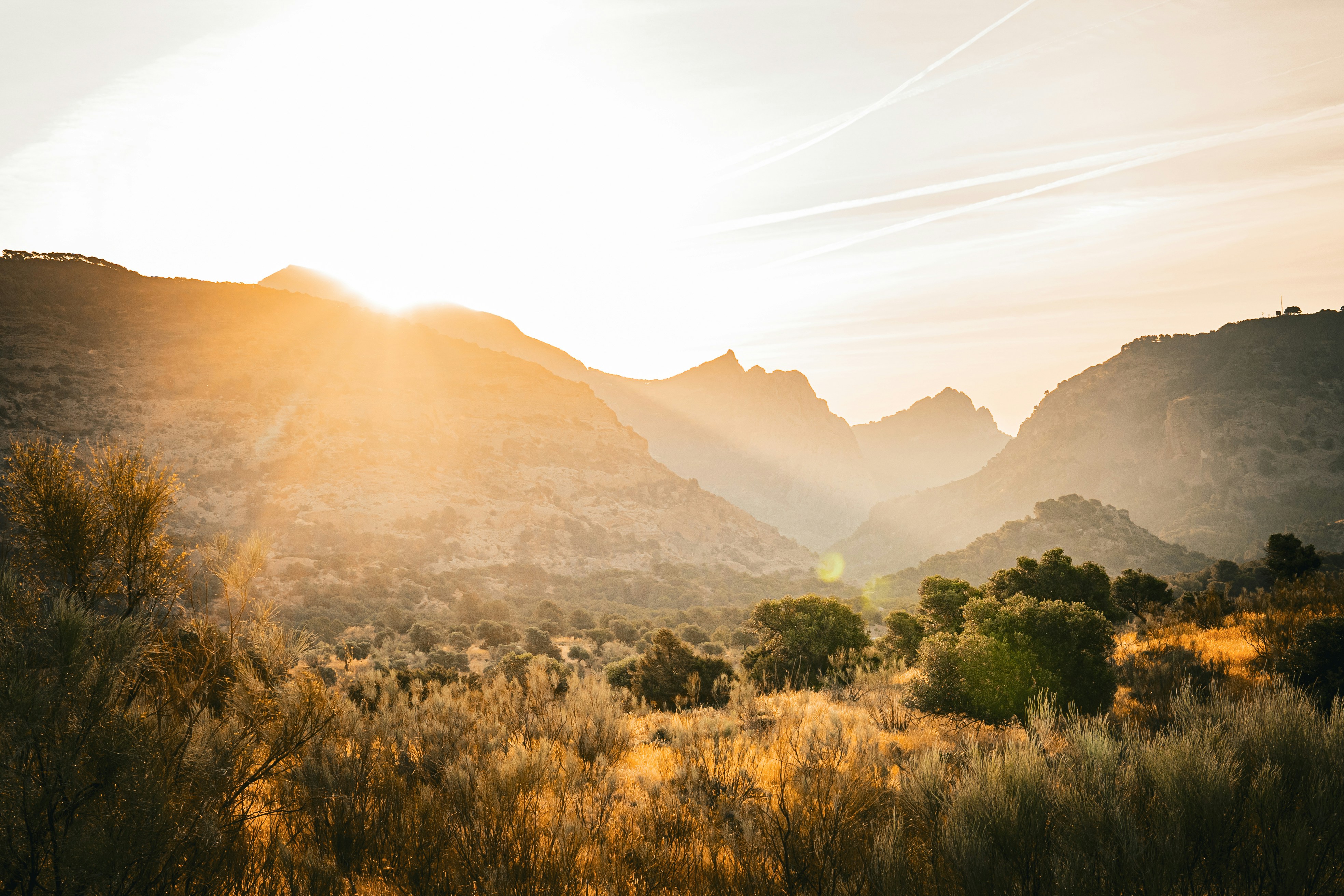 Photo by muna_muoksla