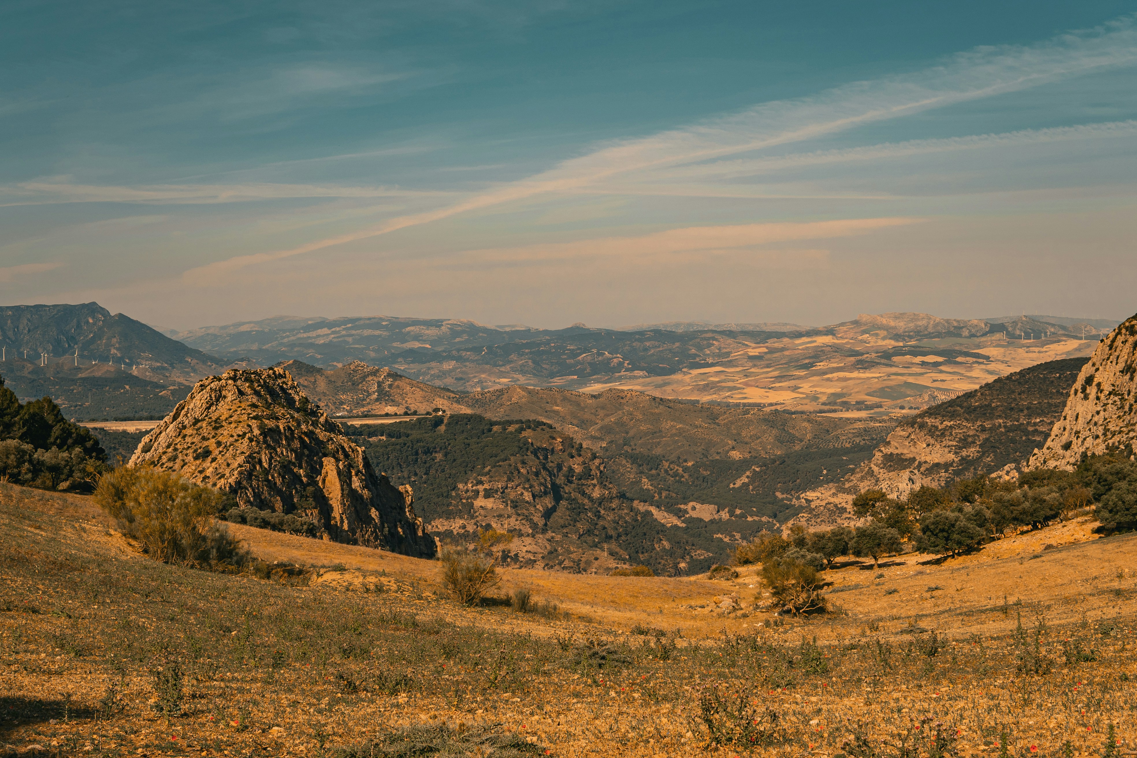 Photo by muna_muoksla