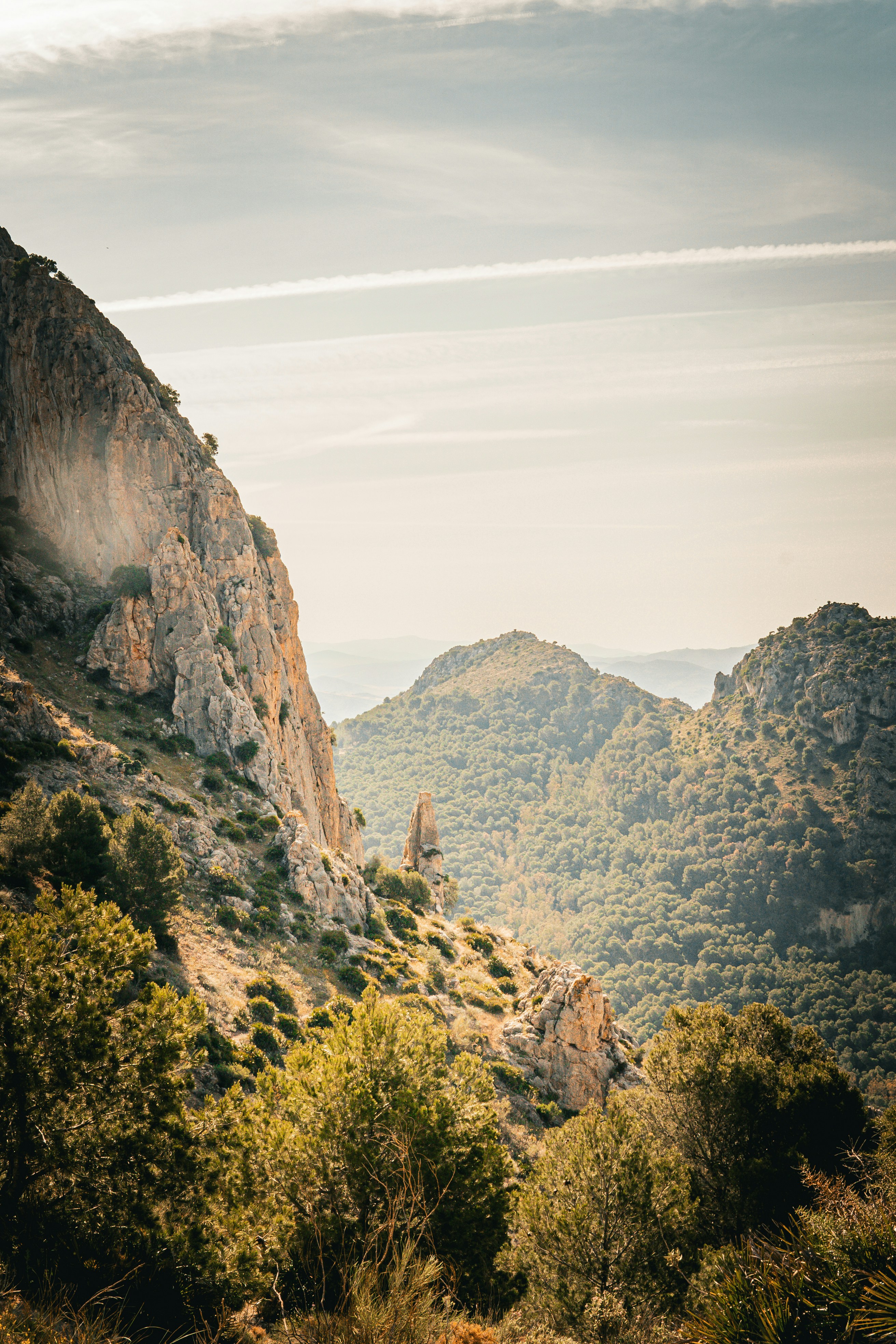 Photo by muna_muoksla