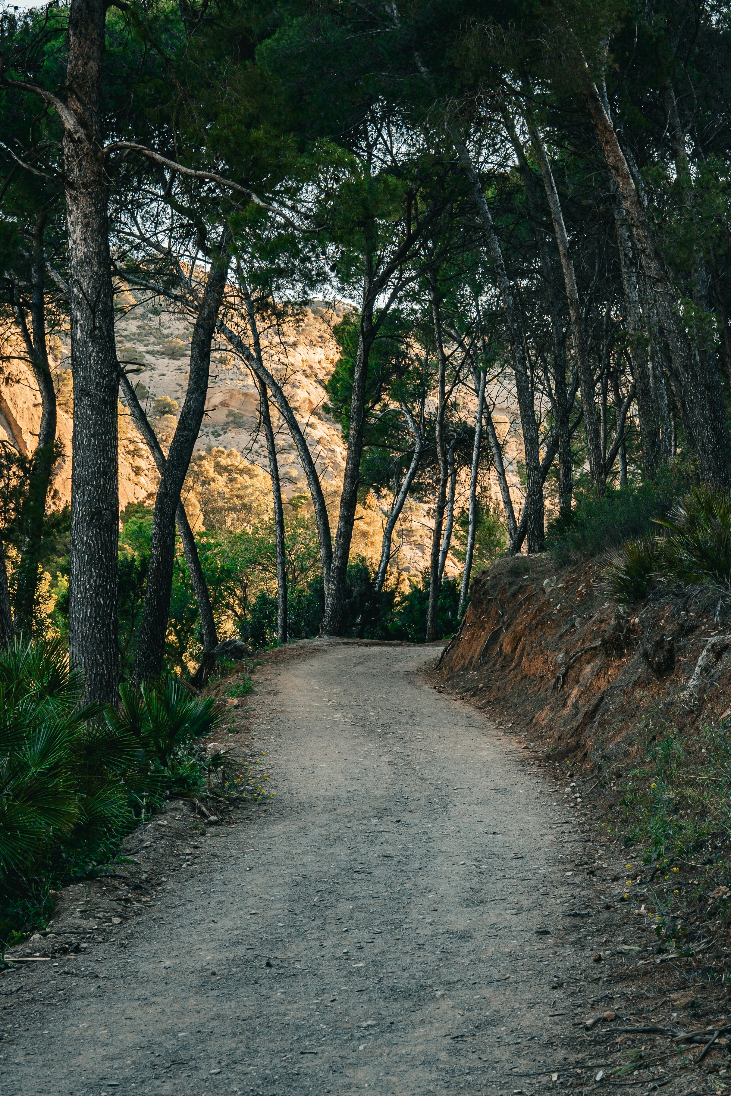 Photo by muna_muoksla