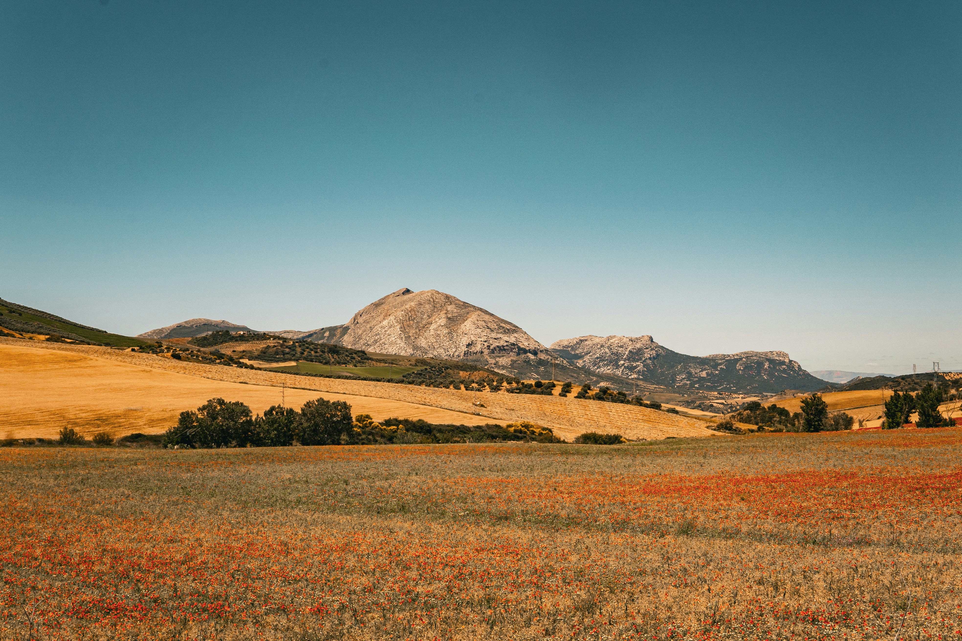 Photo by muna_muoksla