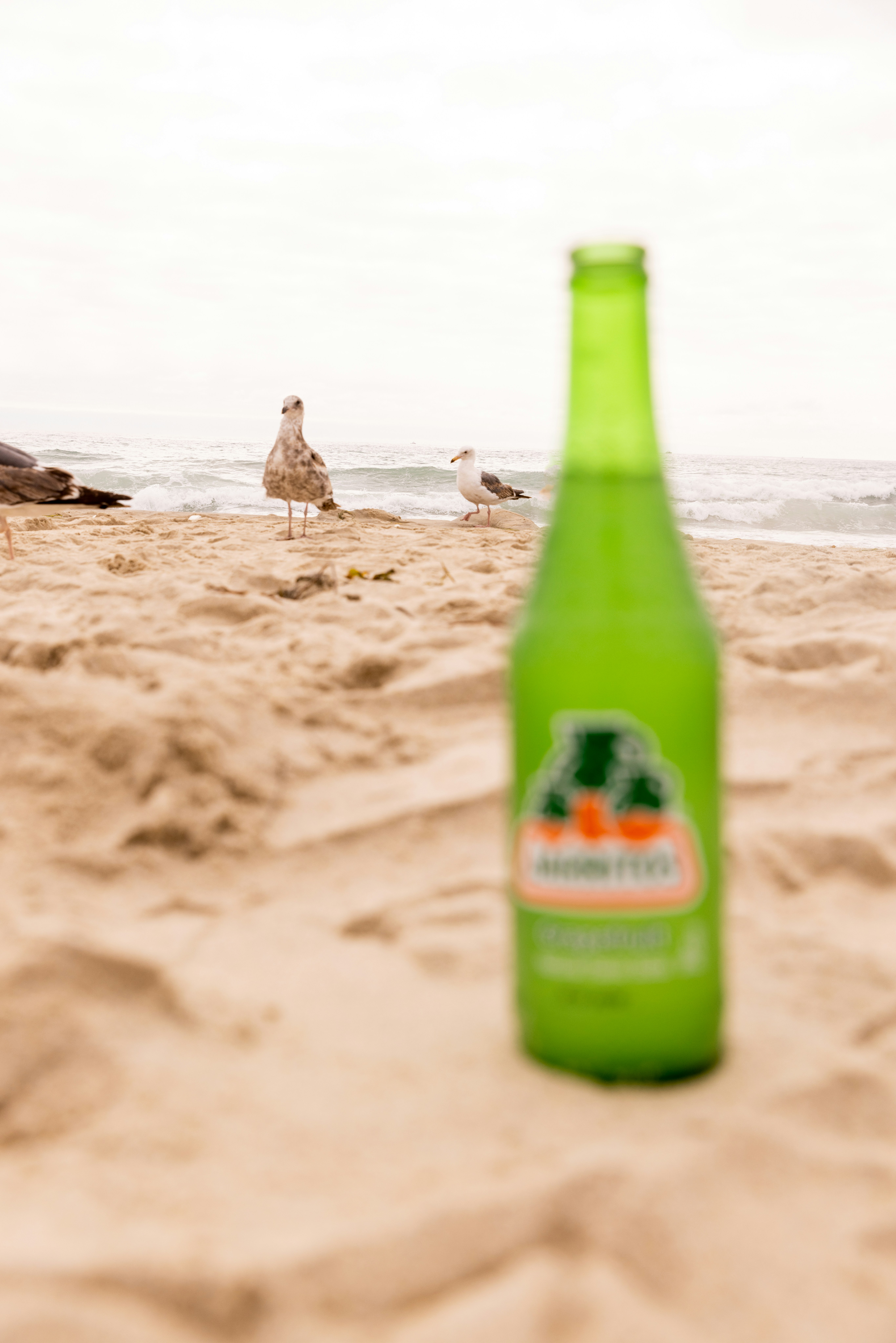 a bottle of beer sitting on top of a sandy beach