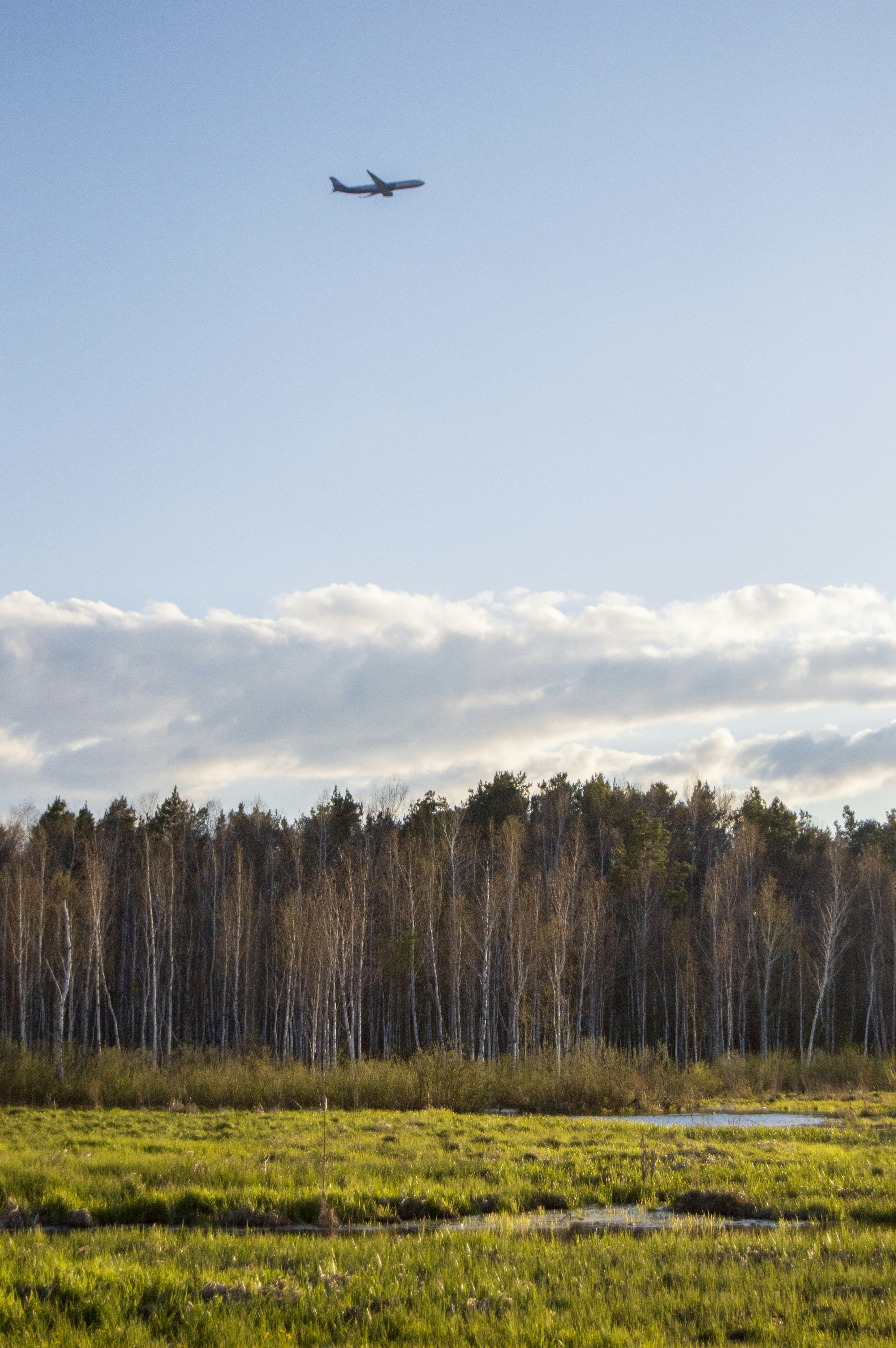 Photo by frosted_vulpes_ferrilata