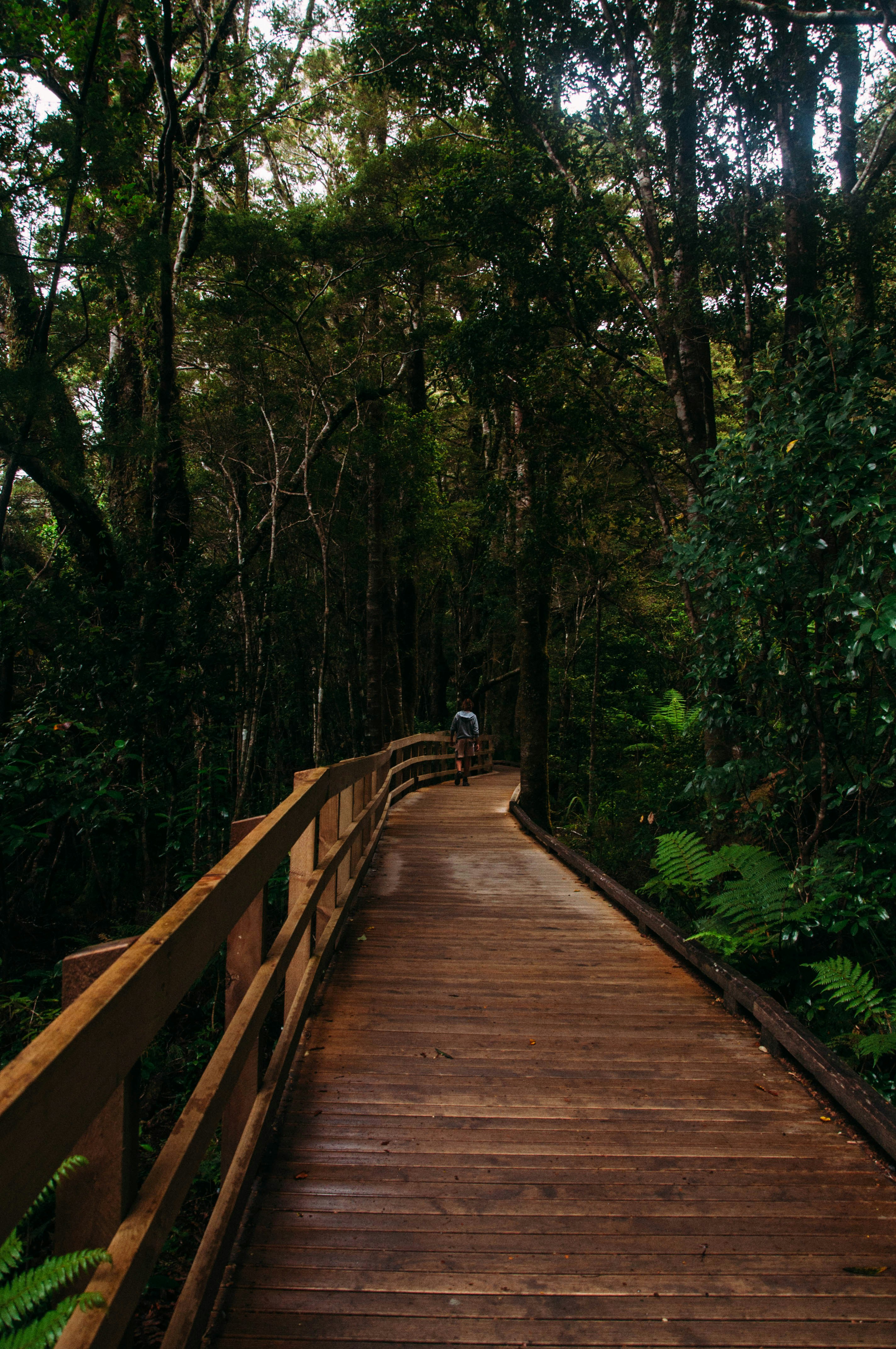 Photo by davidvilches