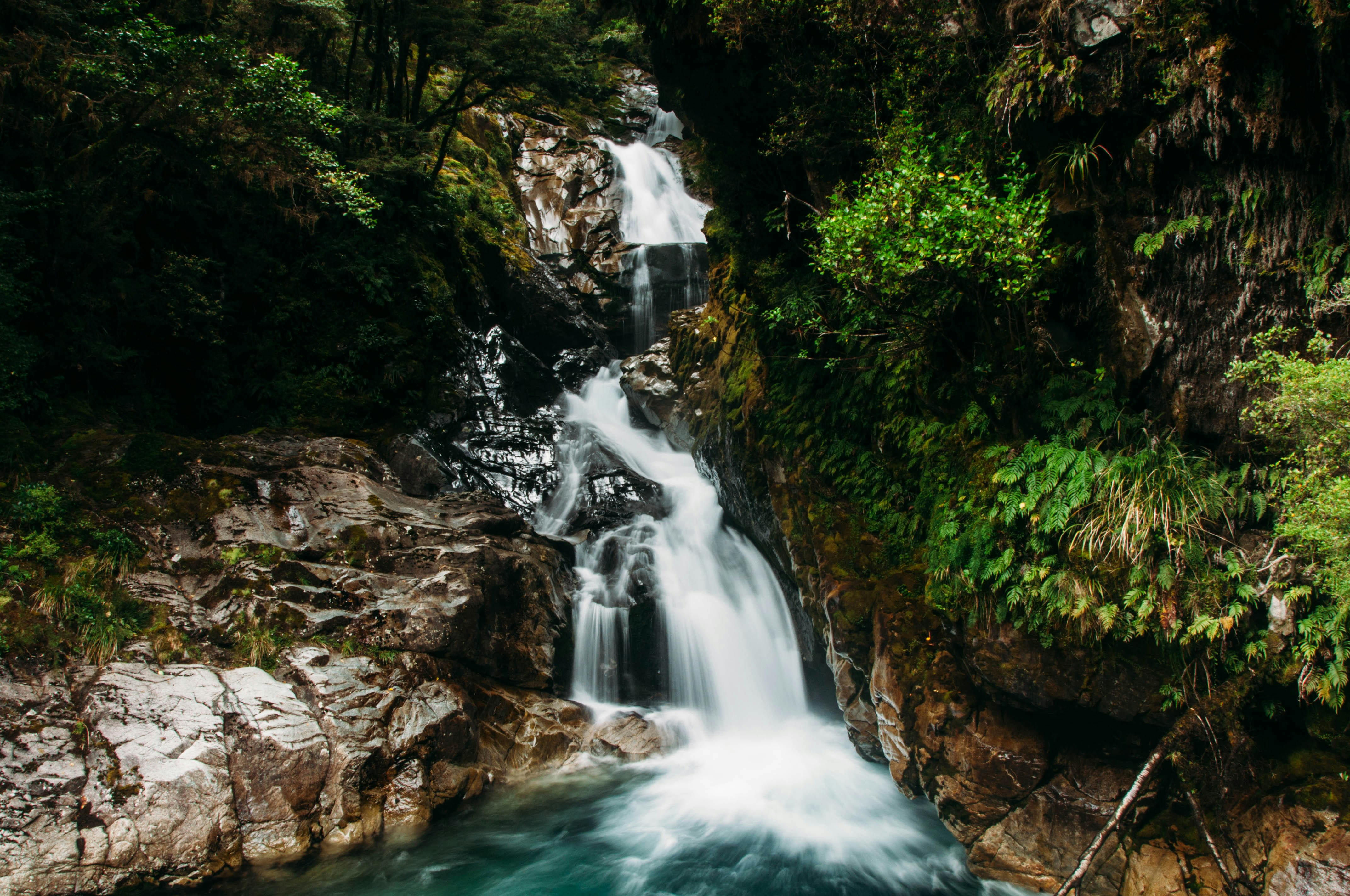 Photo by davidvilches