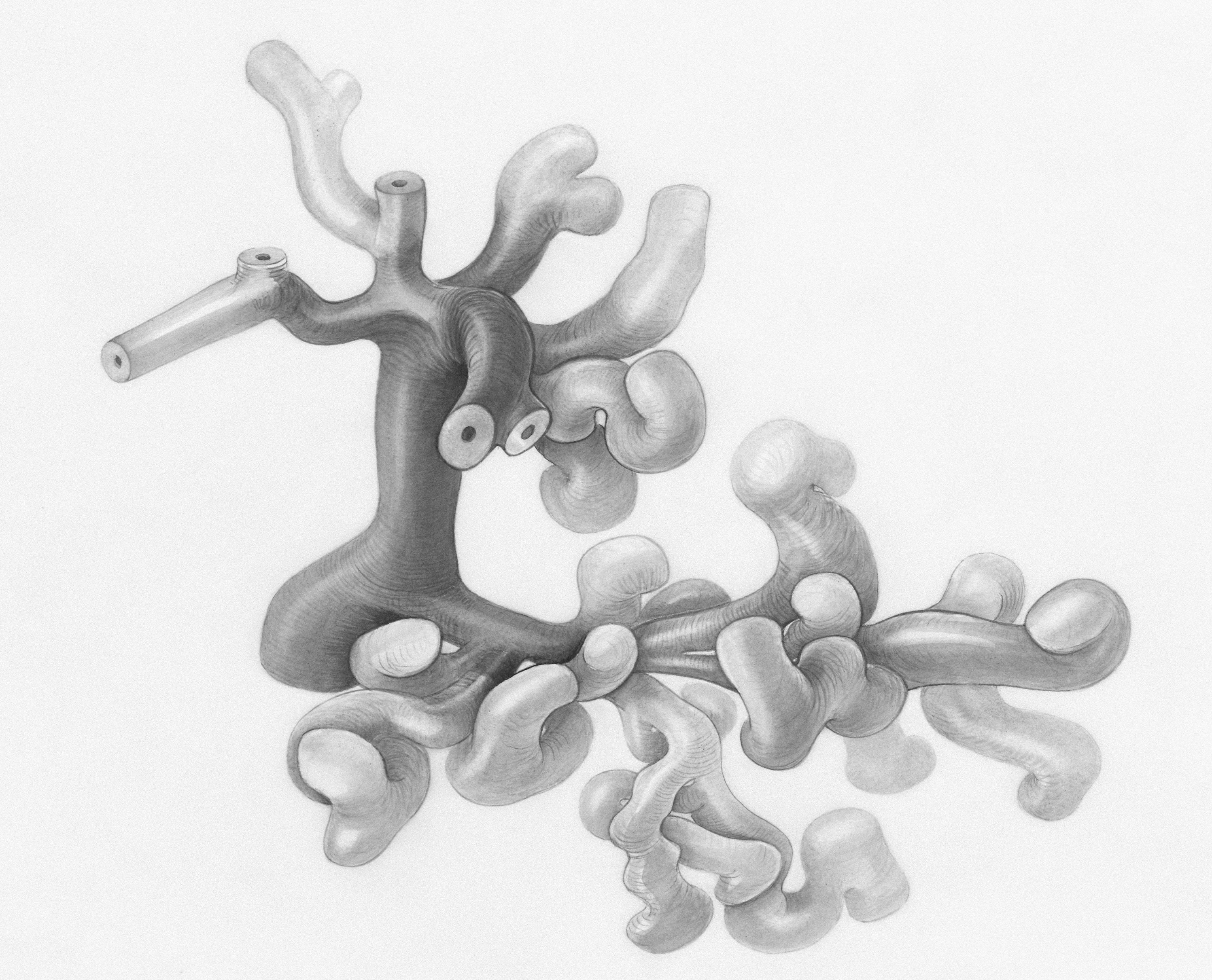 10 Essential Facts: The Gut-Brain Axis and Oxalate Imbalance