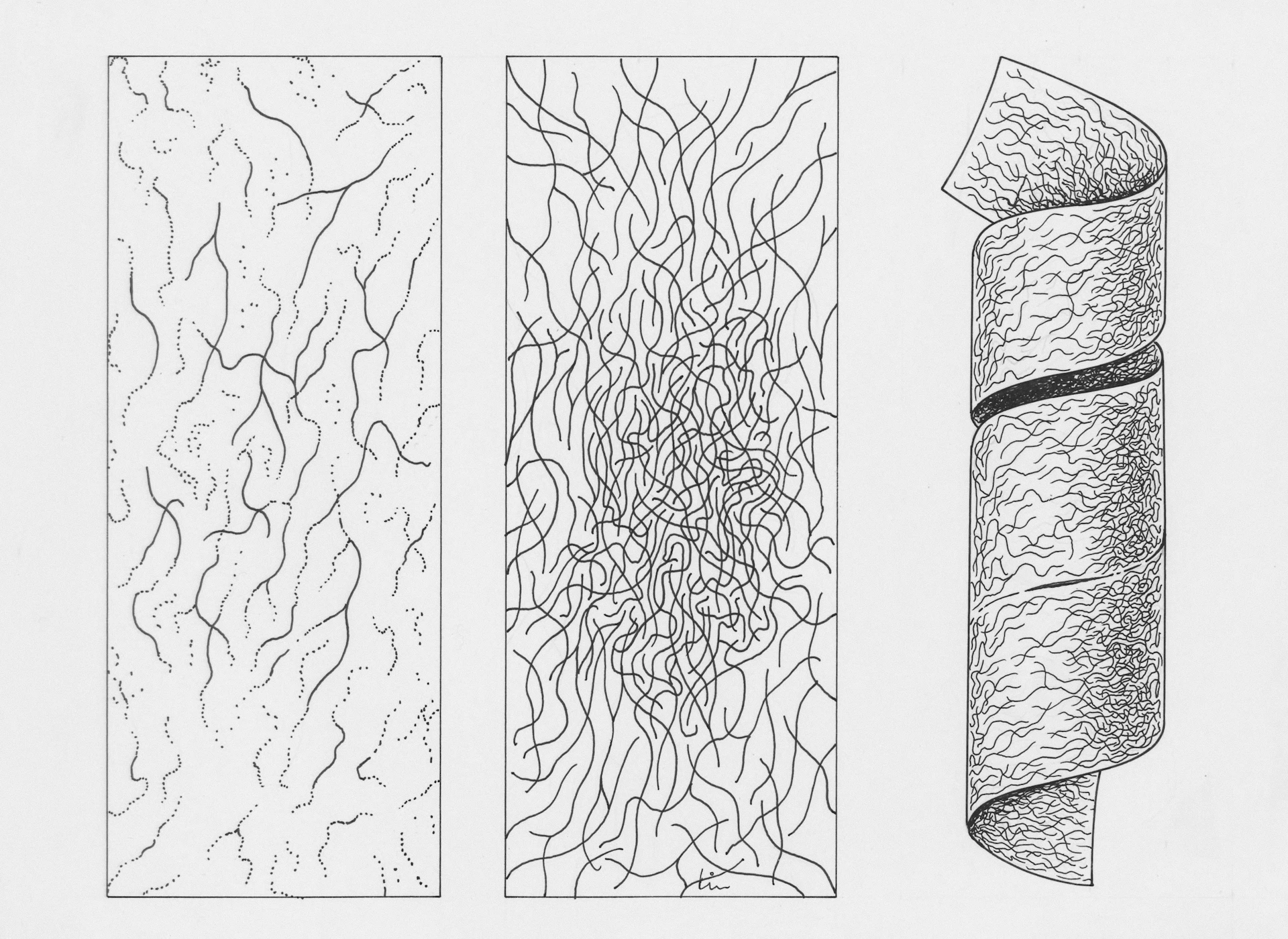 Three abstract drawings of tangled lines and a spiral.