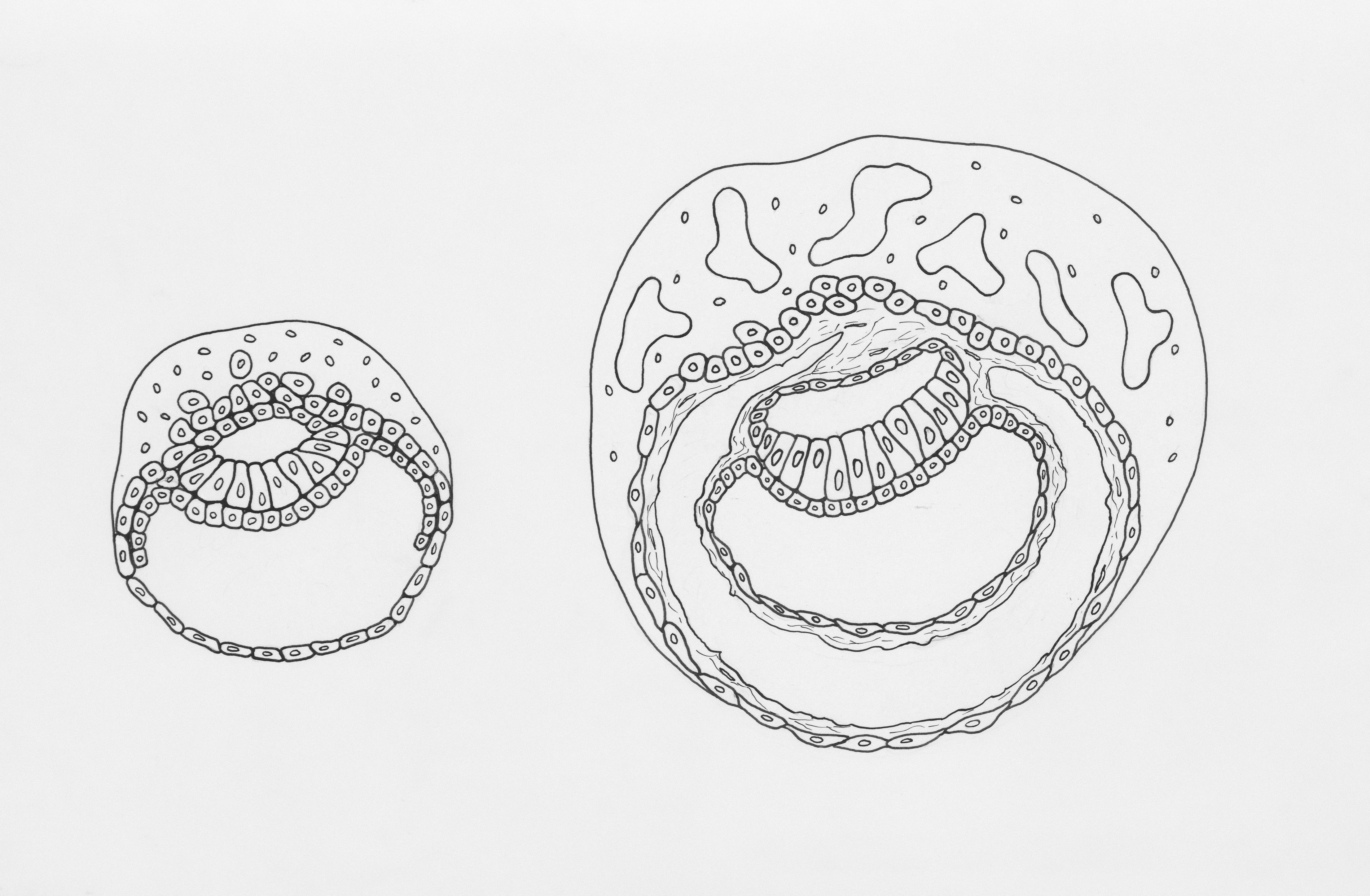 FAQ section about VPN services and streaming platforms