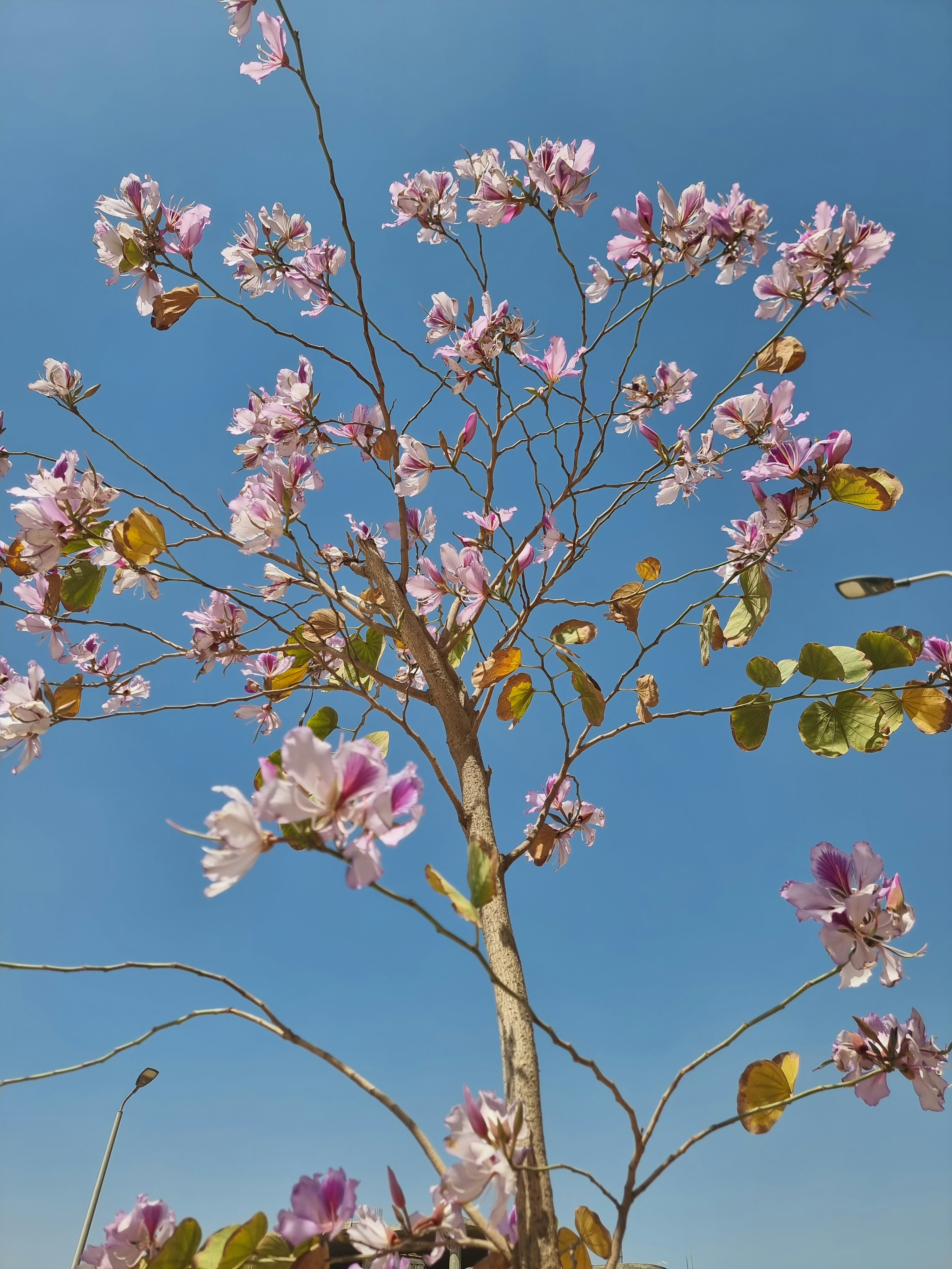 Photo by sarraebrahim