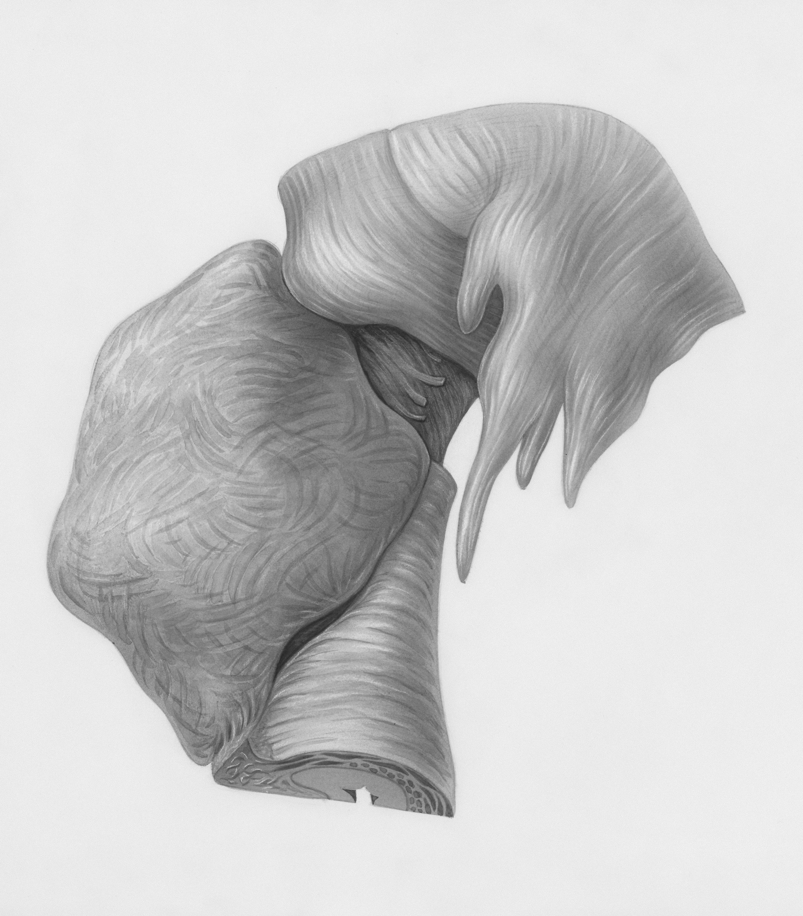 Dessin abstrait en niveaux de gris de formes organiques et fluides