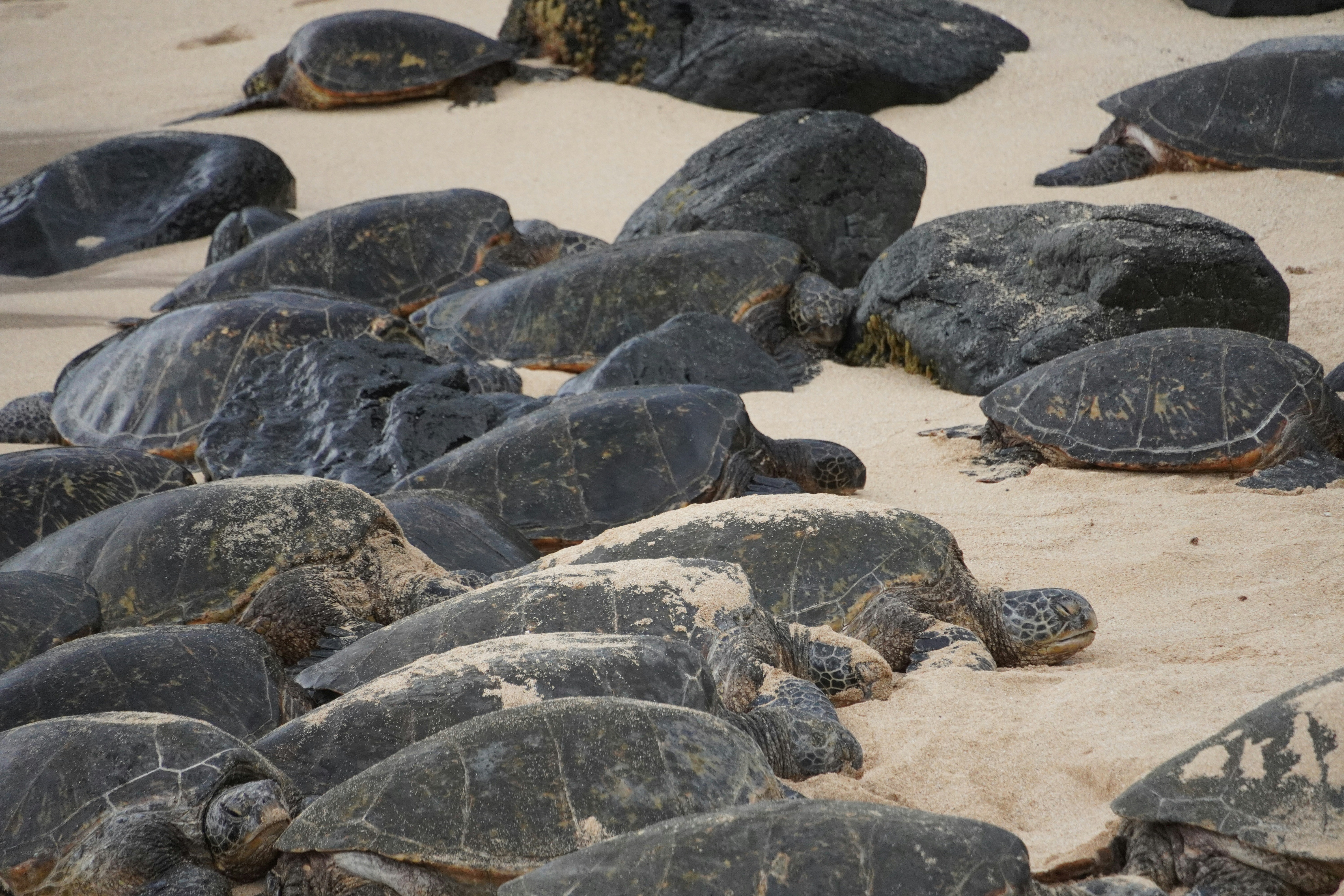 Photo by chapelbeach